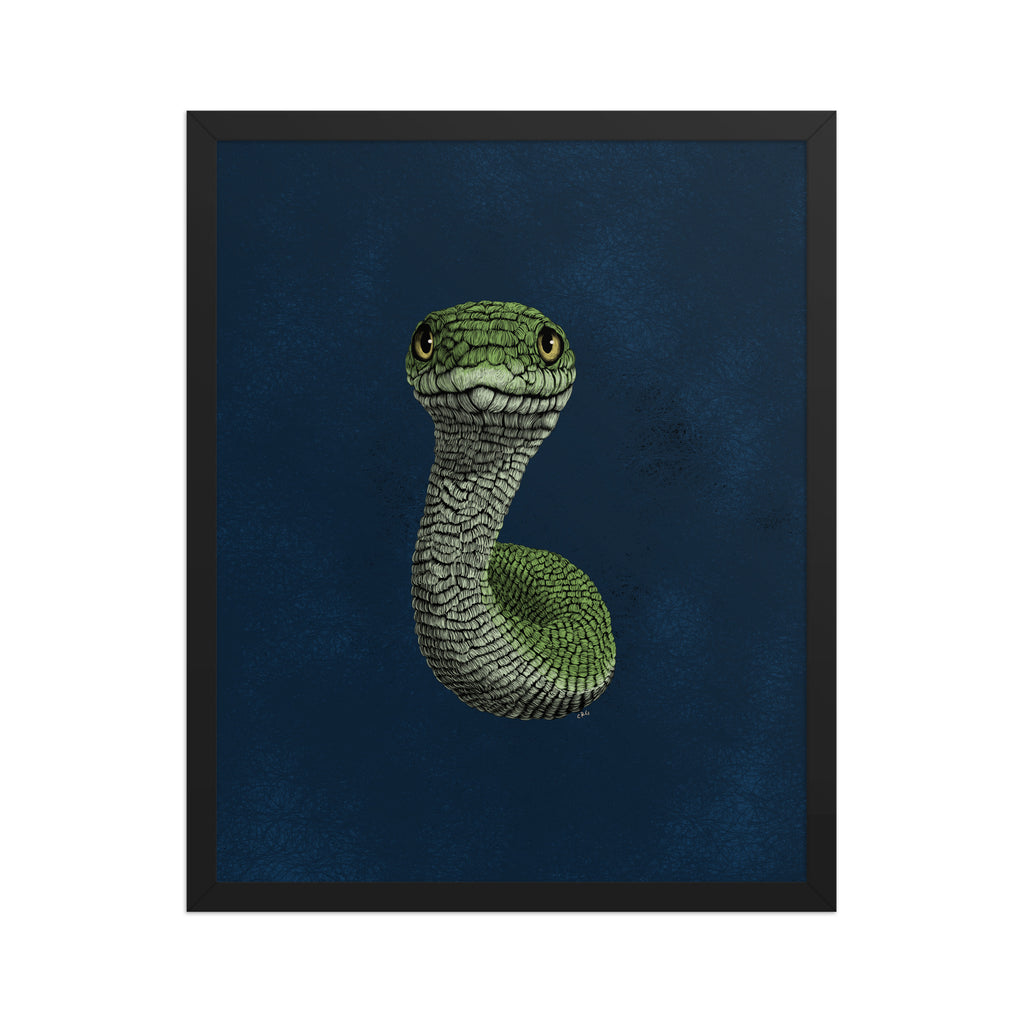 Smooth Green Snake Art Print