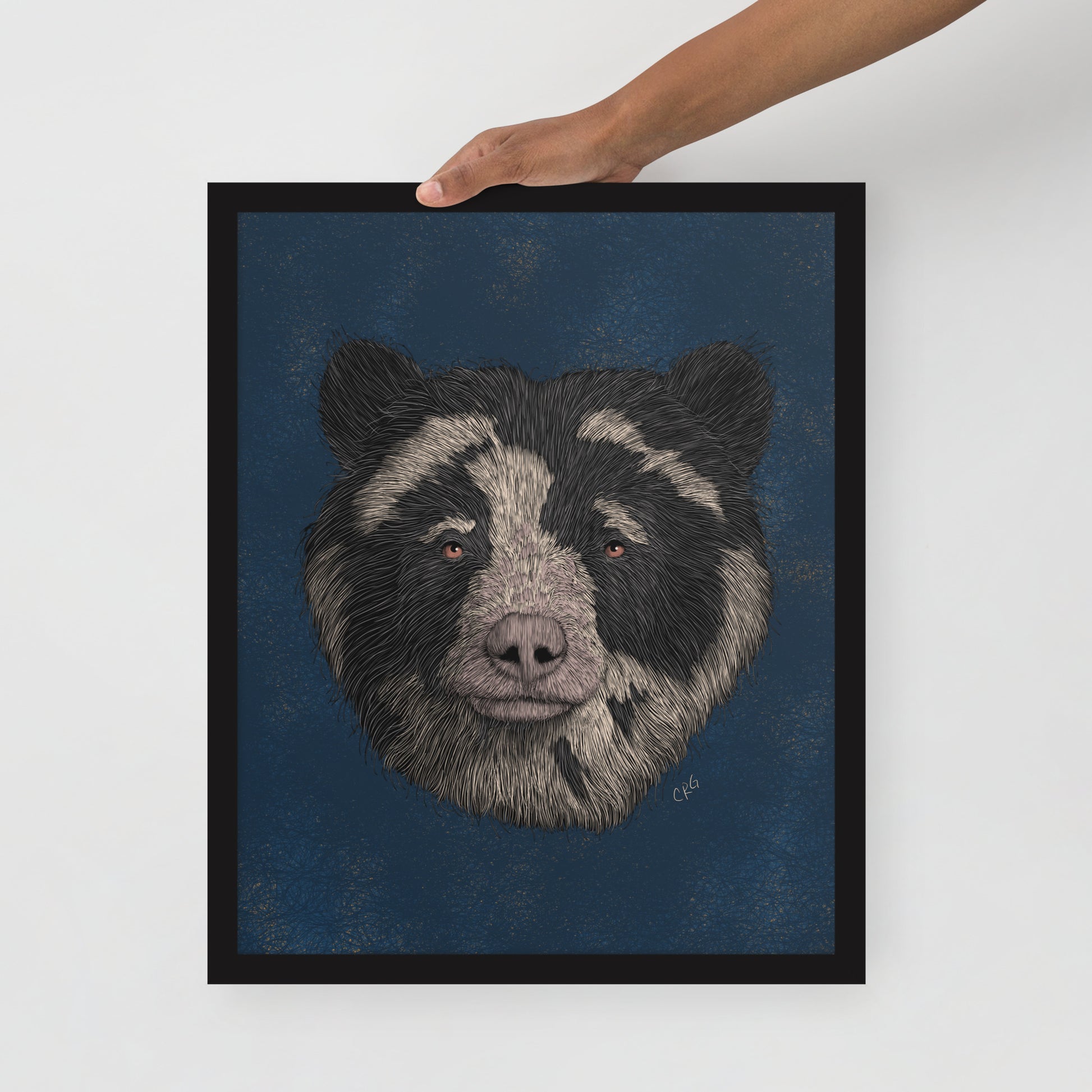 Spectacled Bear Art Print