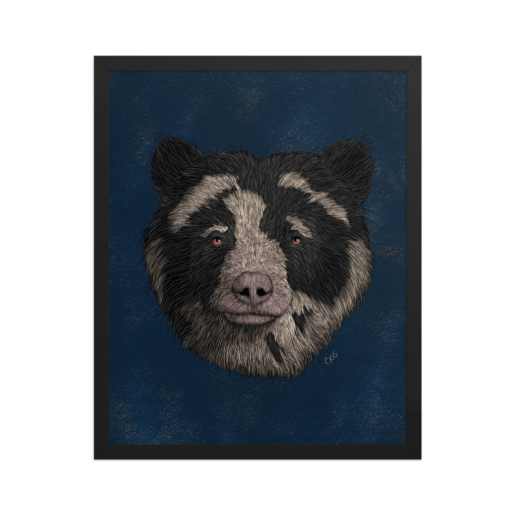 Spectacled Bear Art Print