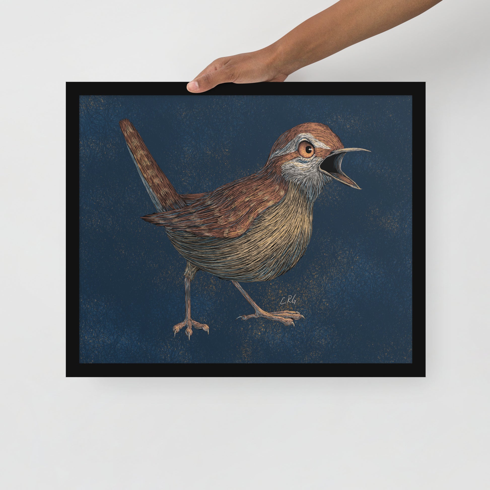 Angry Wren Art Print
