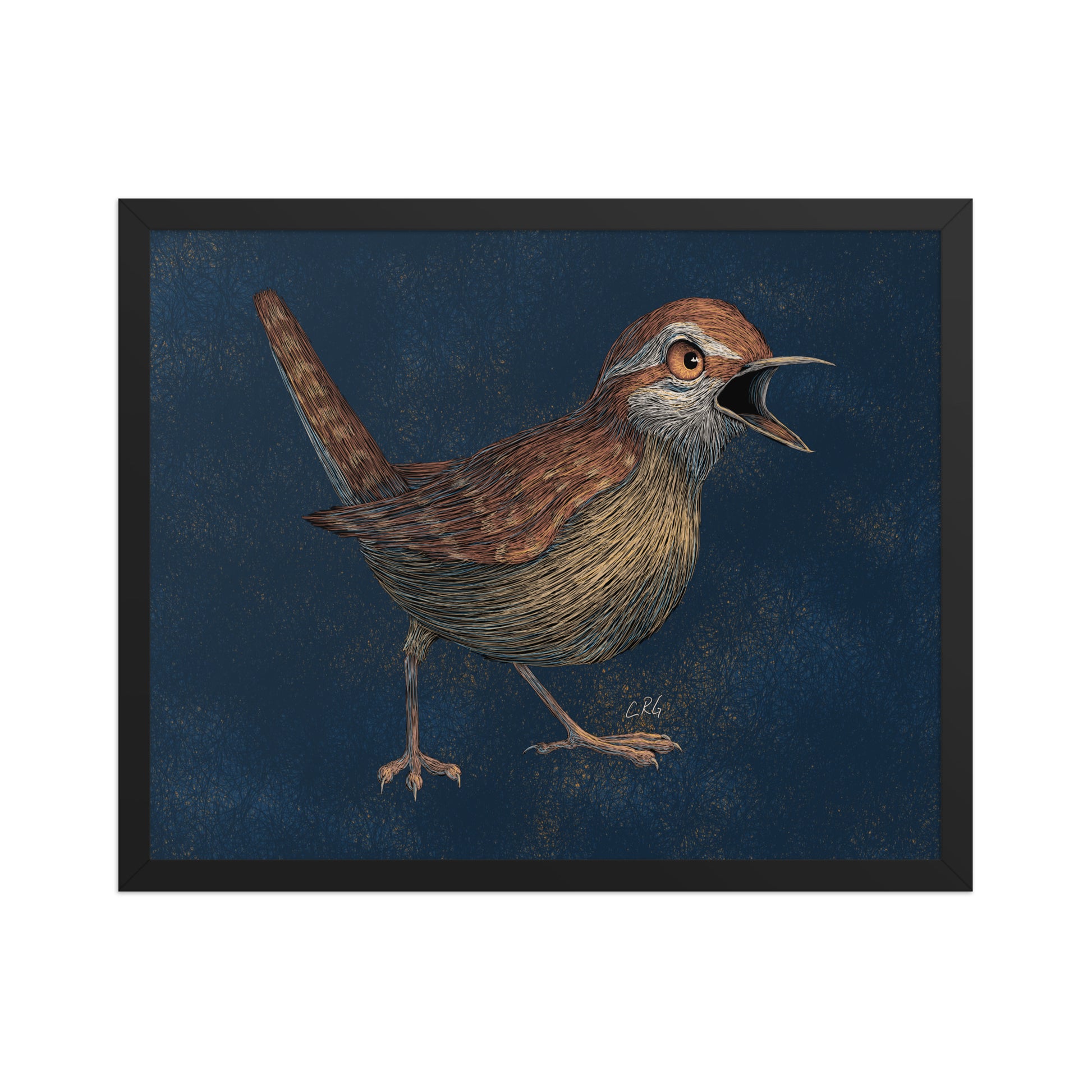 Angry Wren Art Print