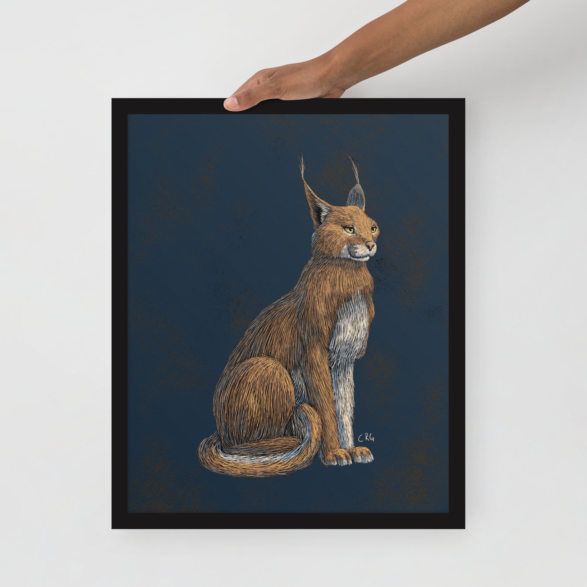 Regal Caracal Art Print