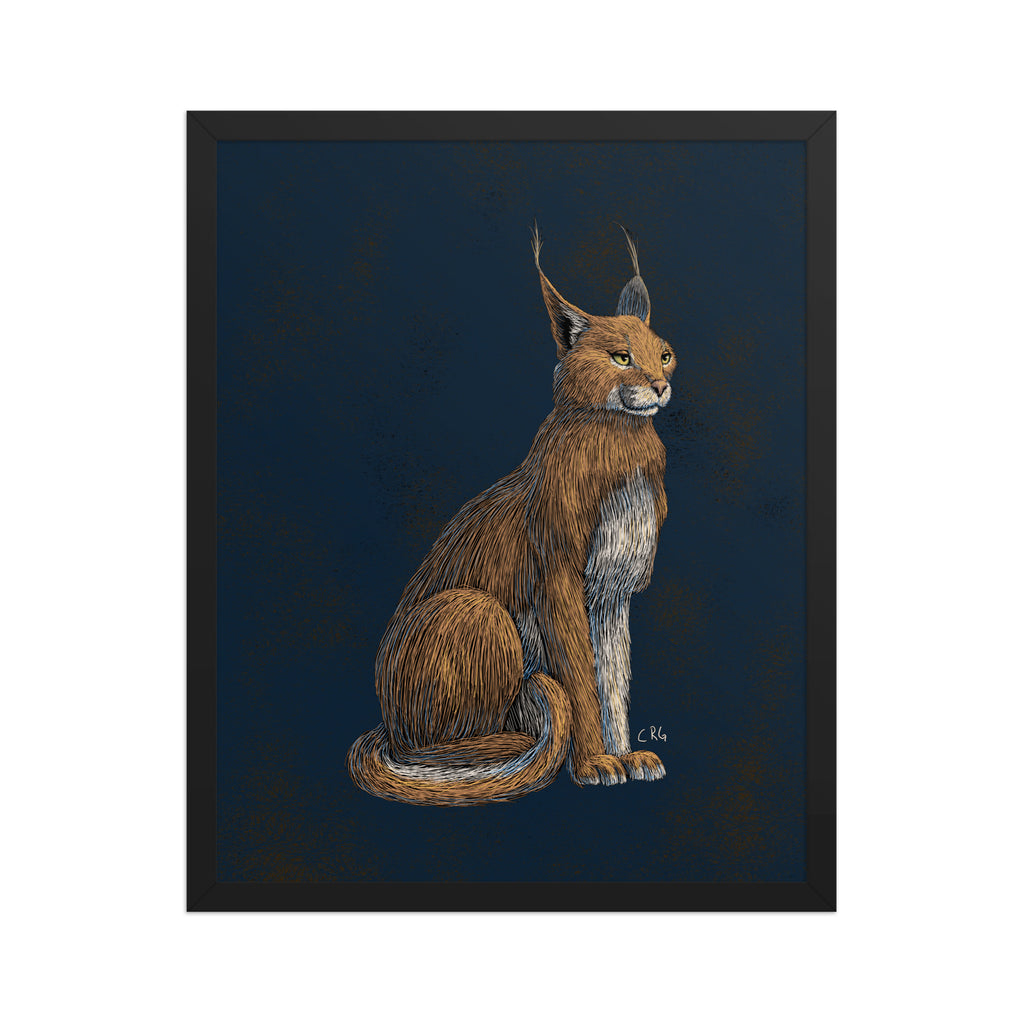 Regal Caracal Art Print