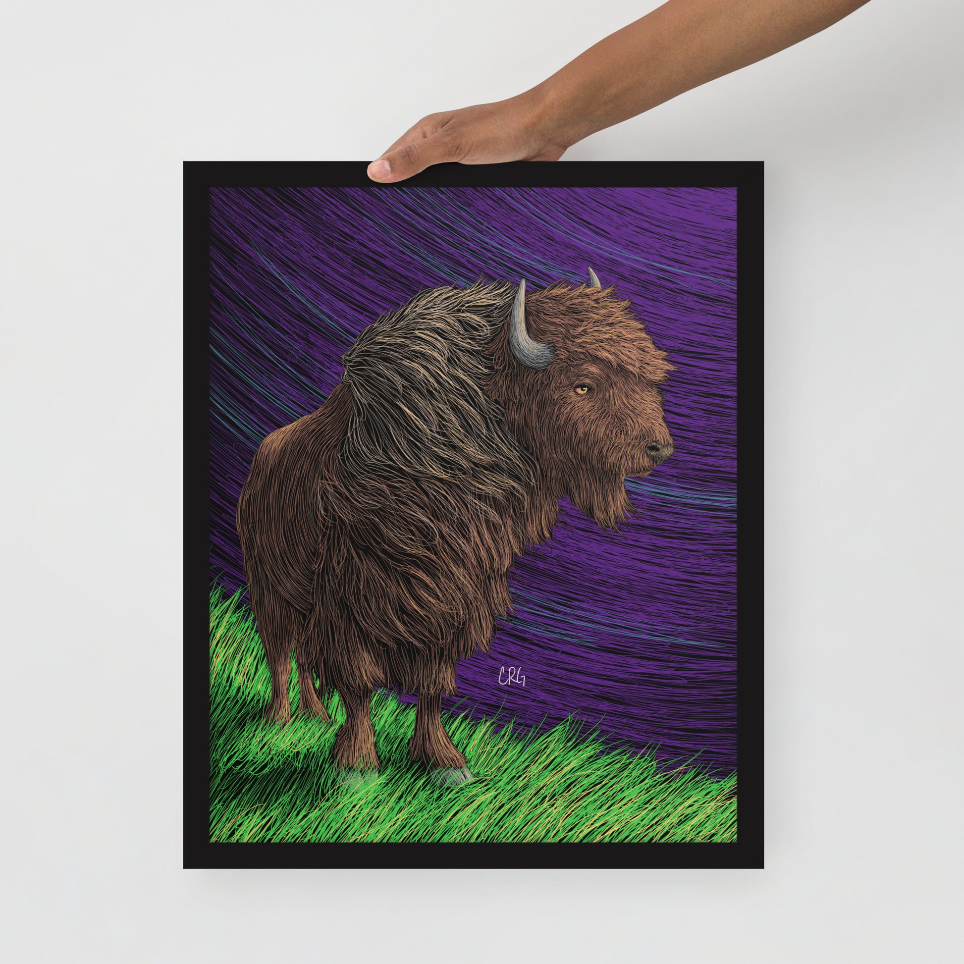 Bison Art Print