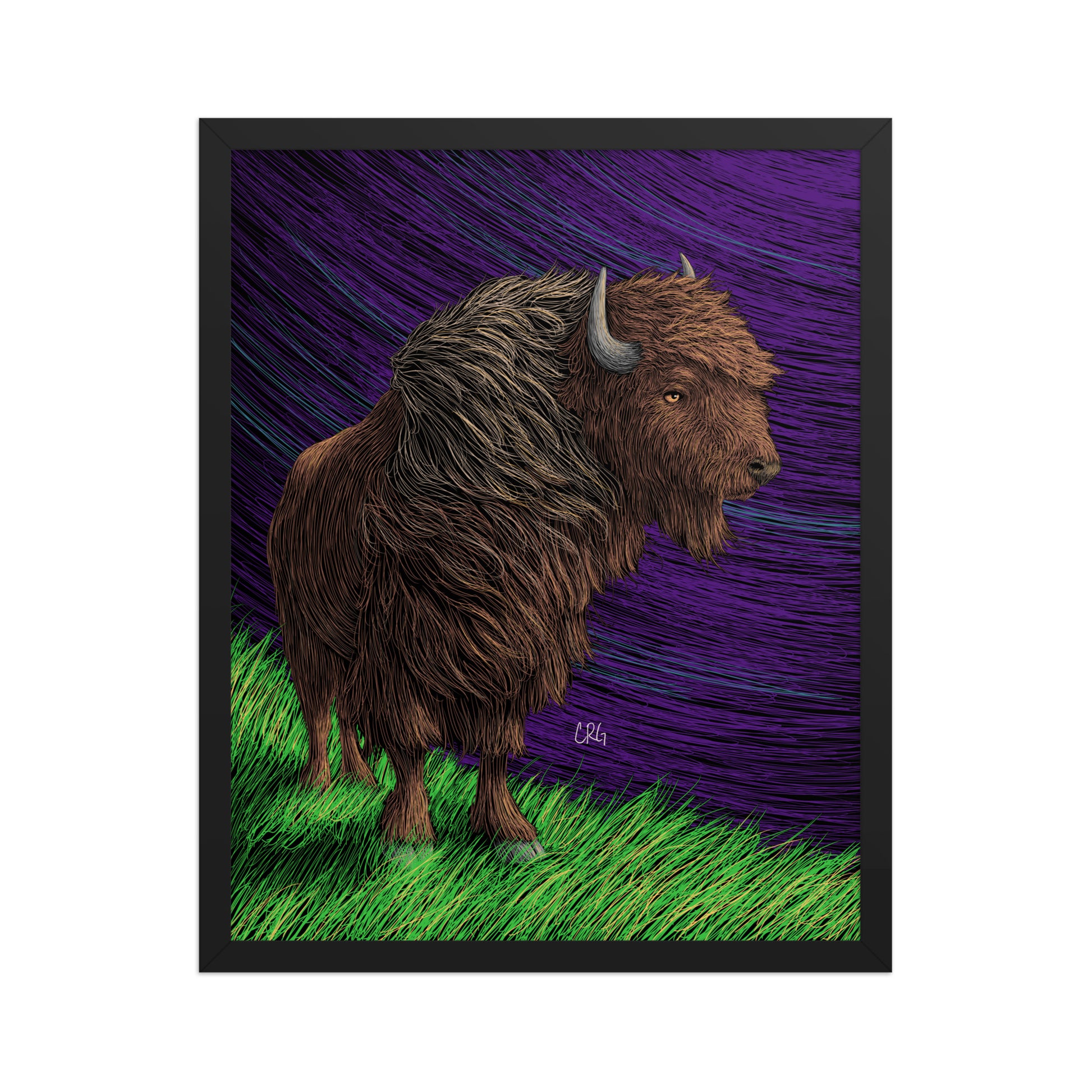 Bison Art Print