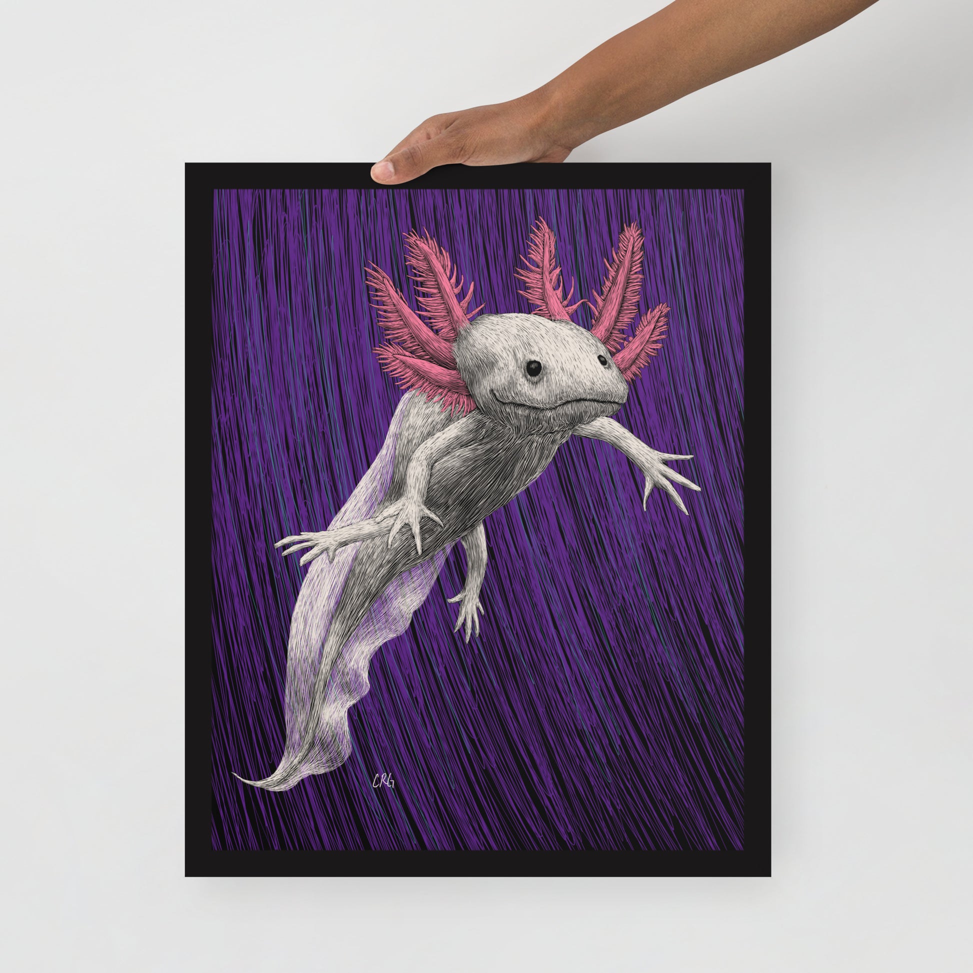 Axolotl Art Print