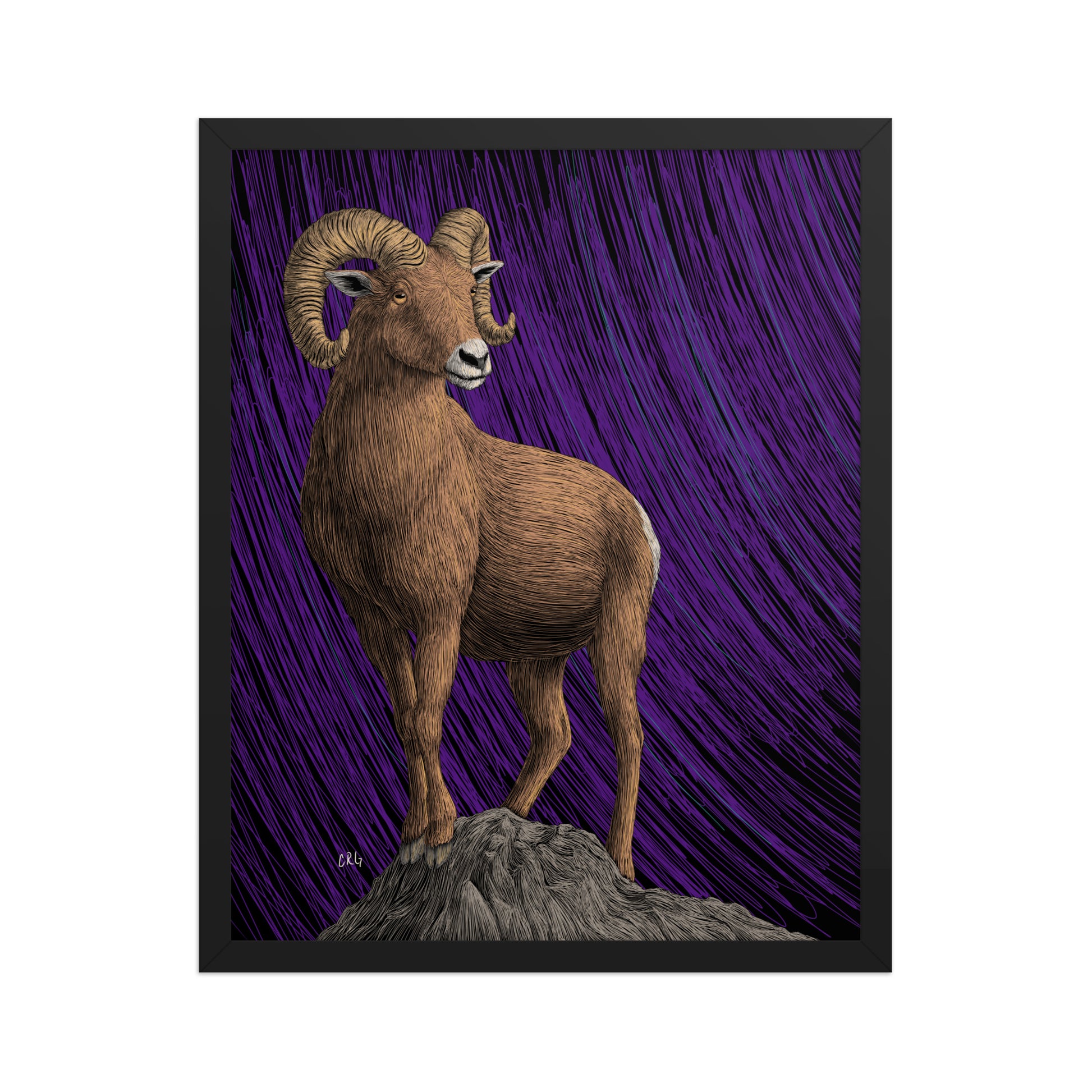 Bighorn Sheep Art Print