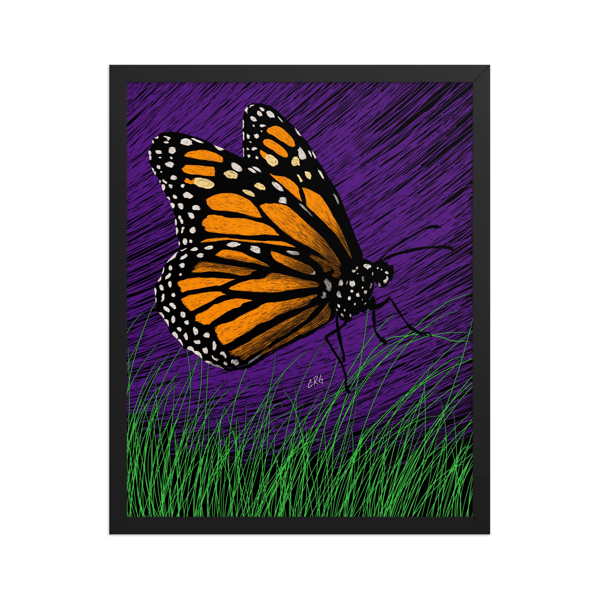 Butterfly Art Print