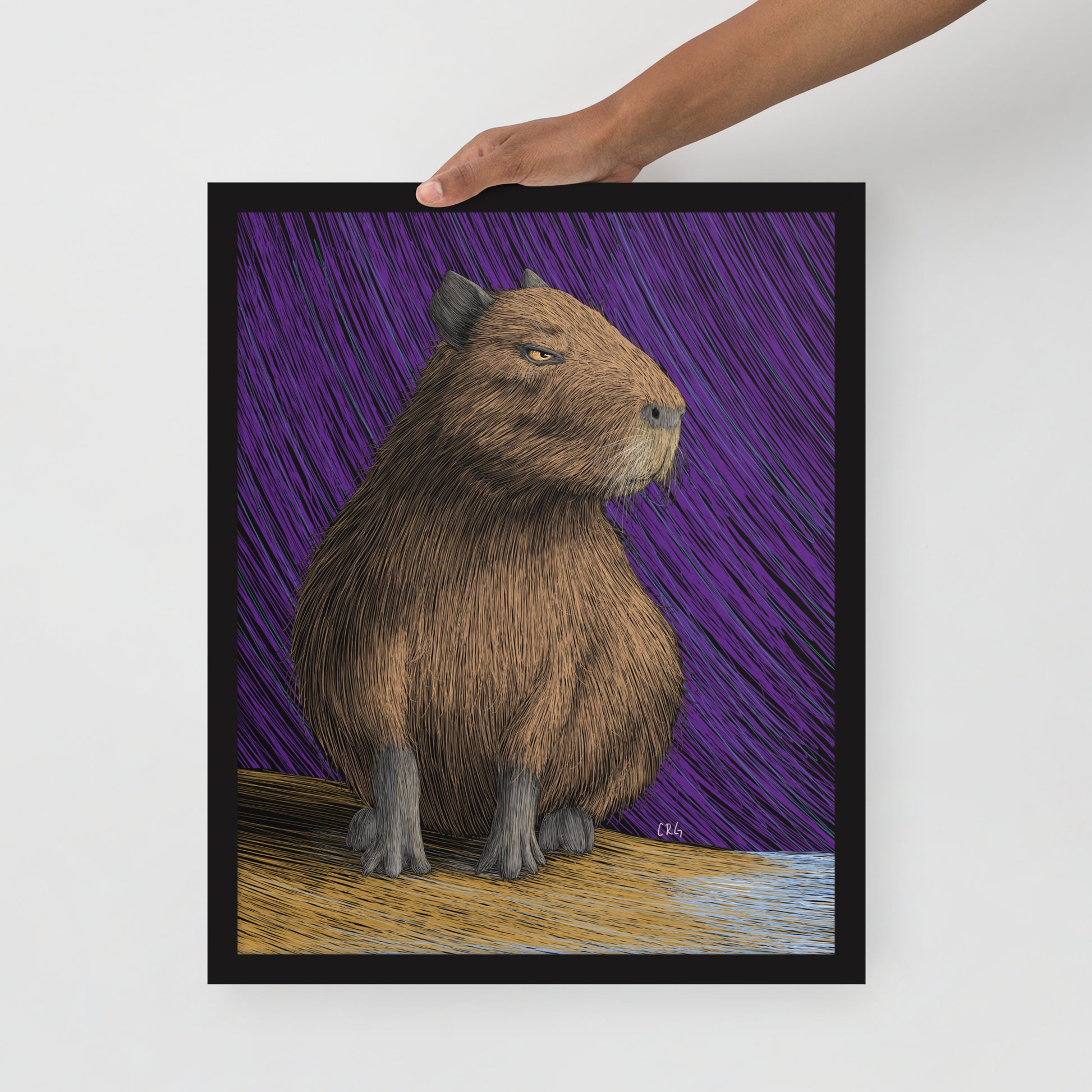 Capybara Art Print
