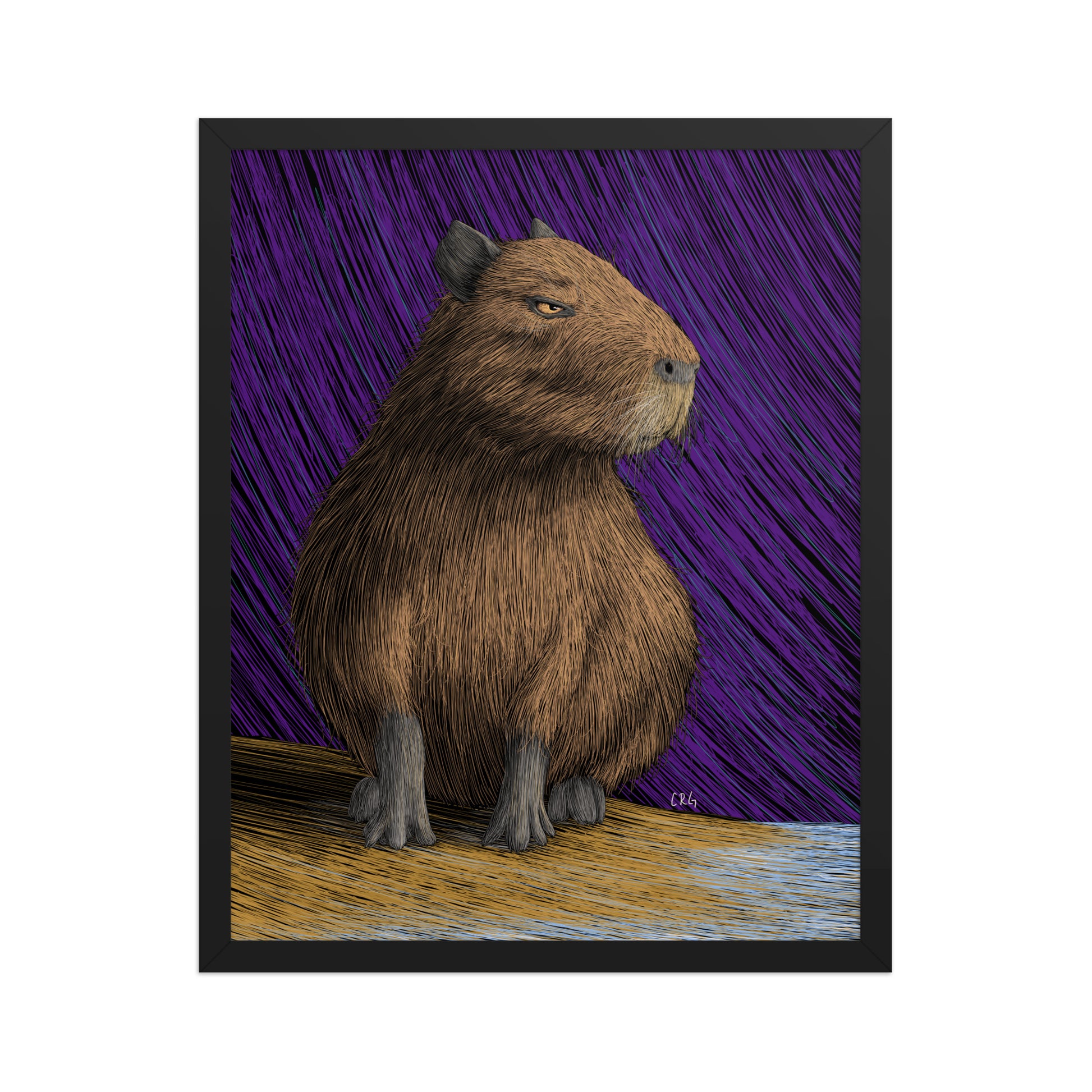 Capybara Art Print