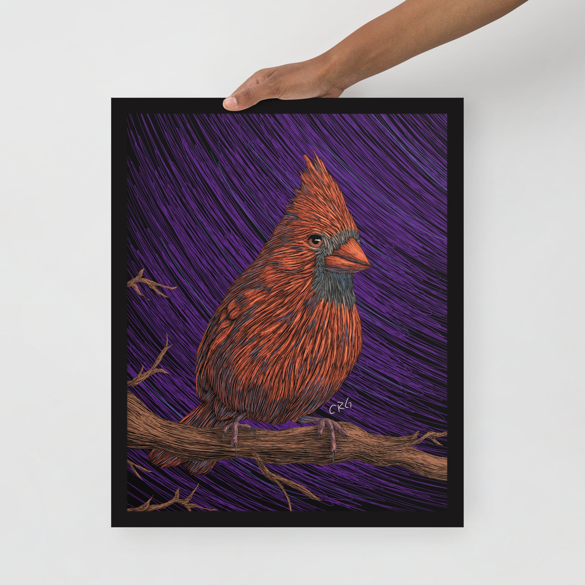 Cardinal Art Print