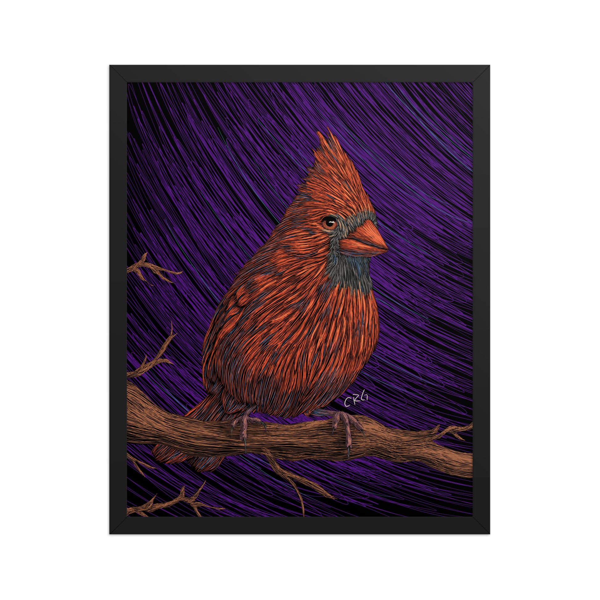 Cardinal Art Print