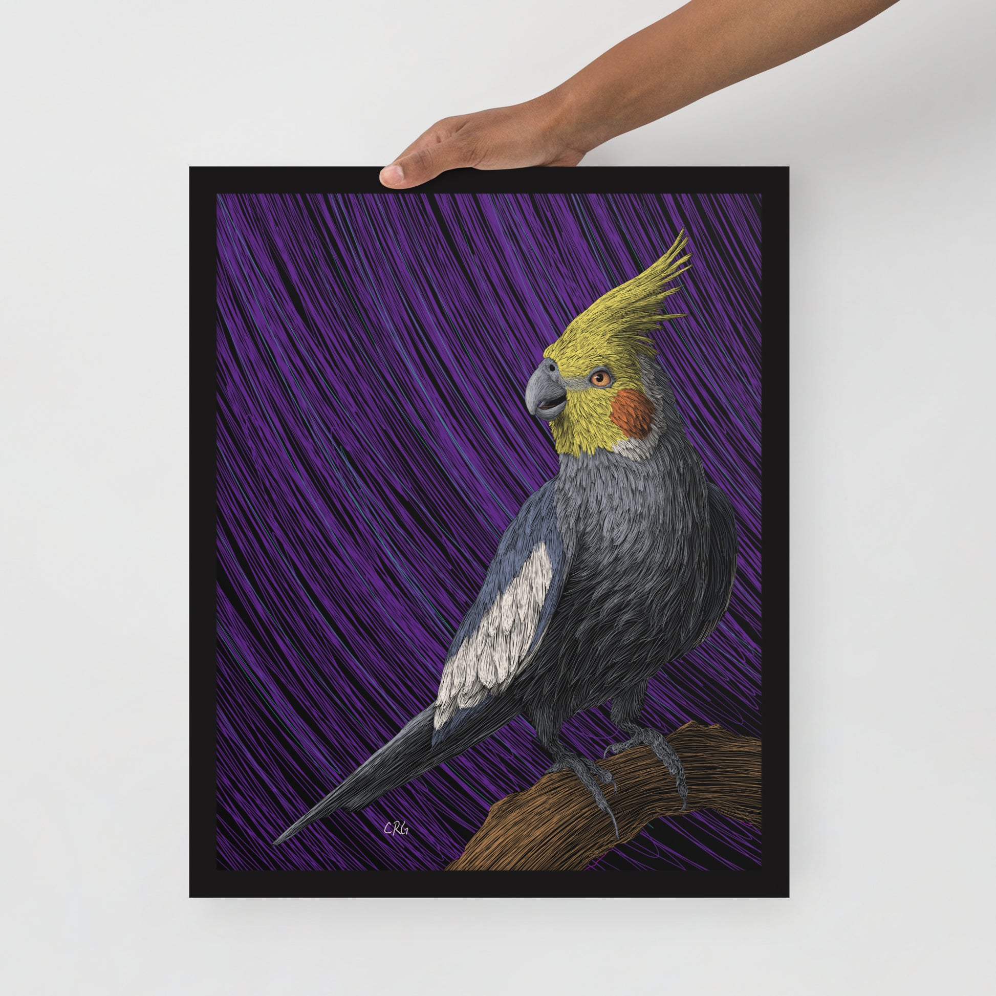 Cockatiel Art Print