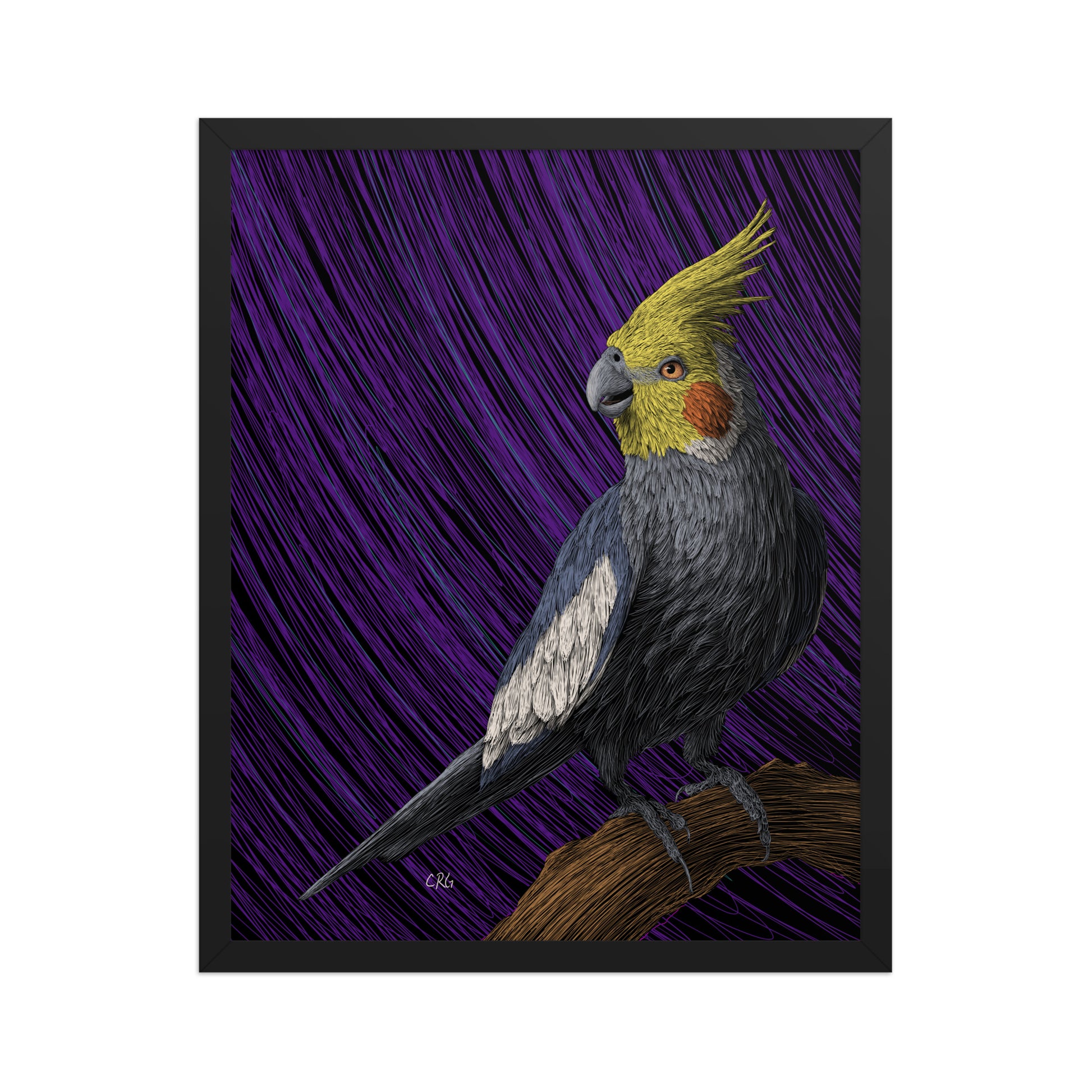 Cockatiel Art Print