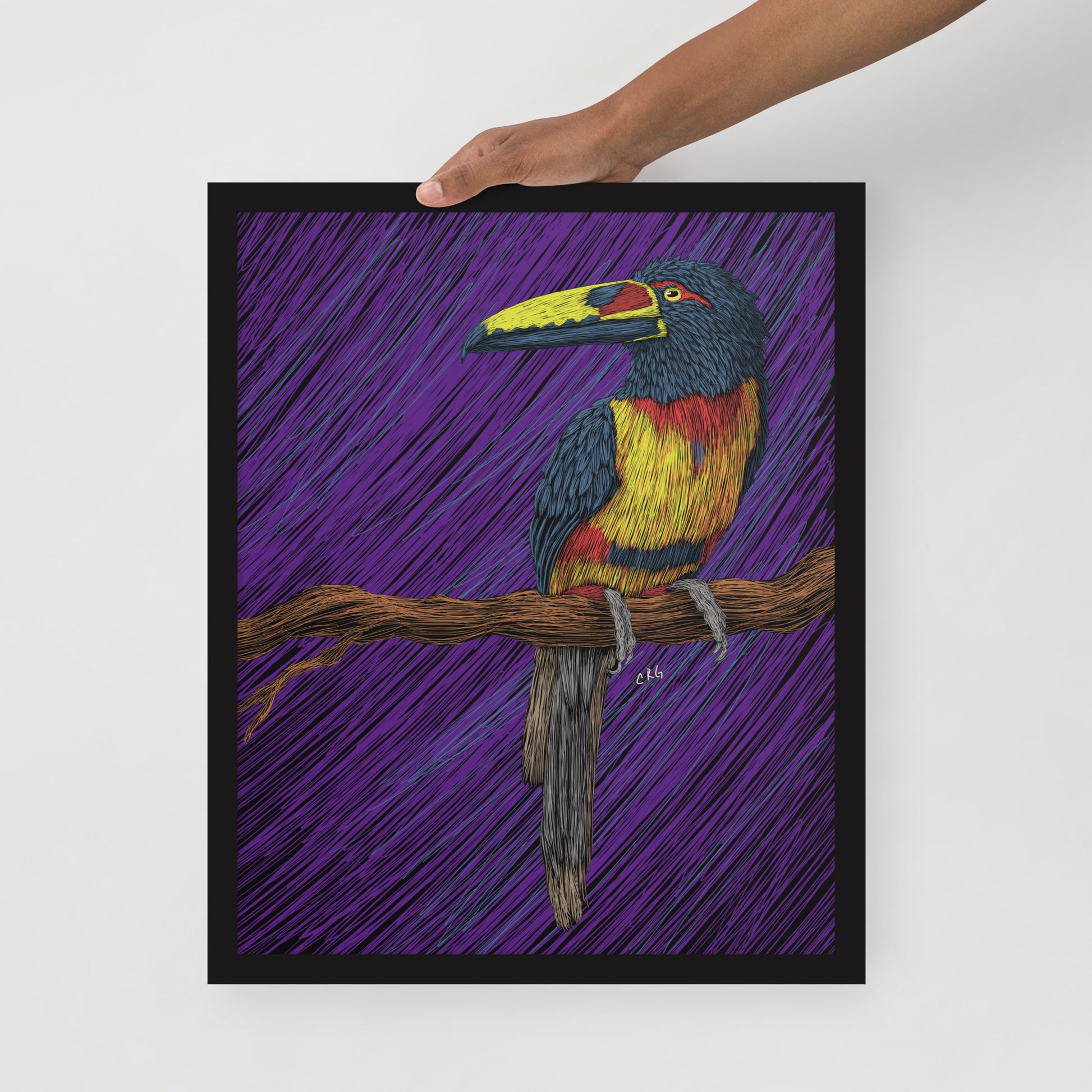 Toucan Art Print