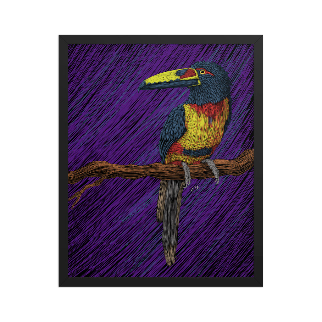 Toucan Art Print
