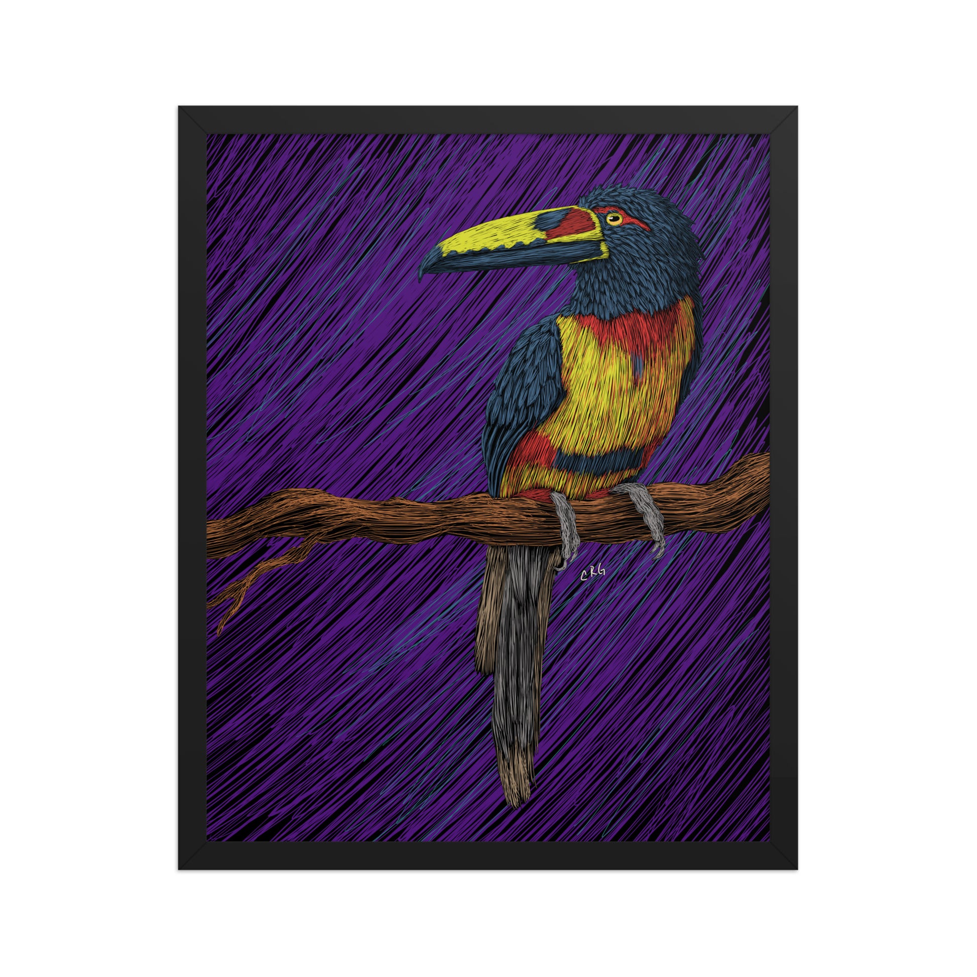 Toucan Art Print