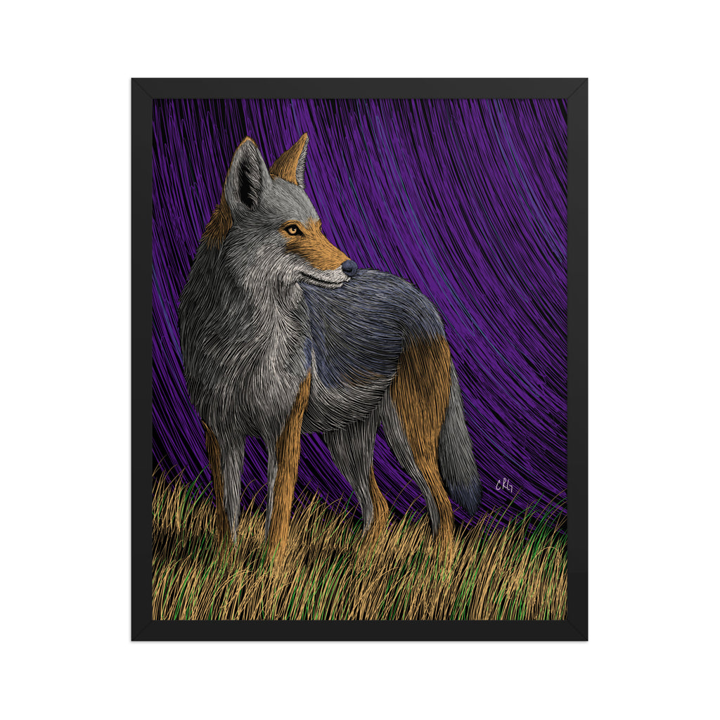 Coyote Art Print