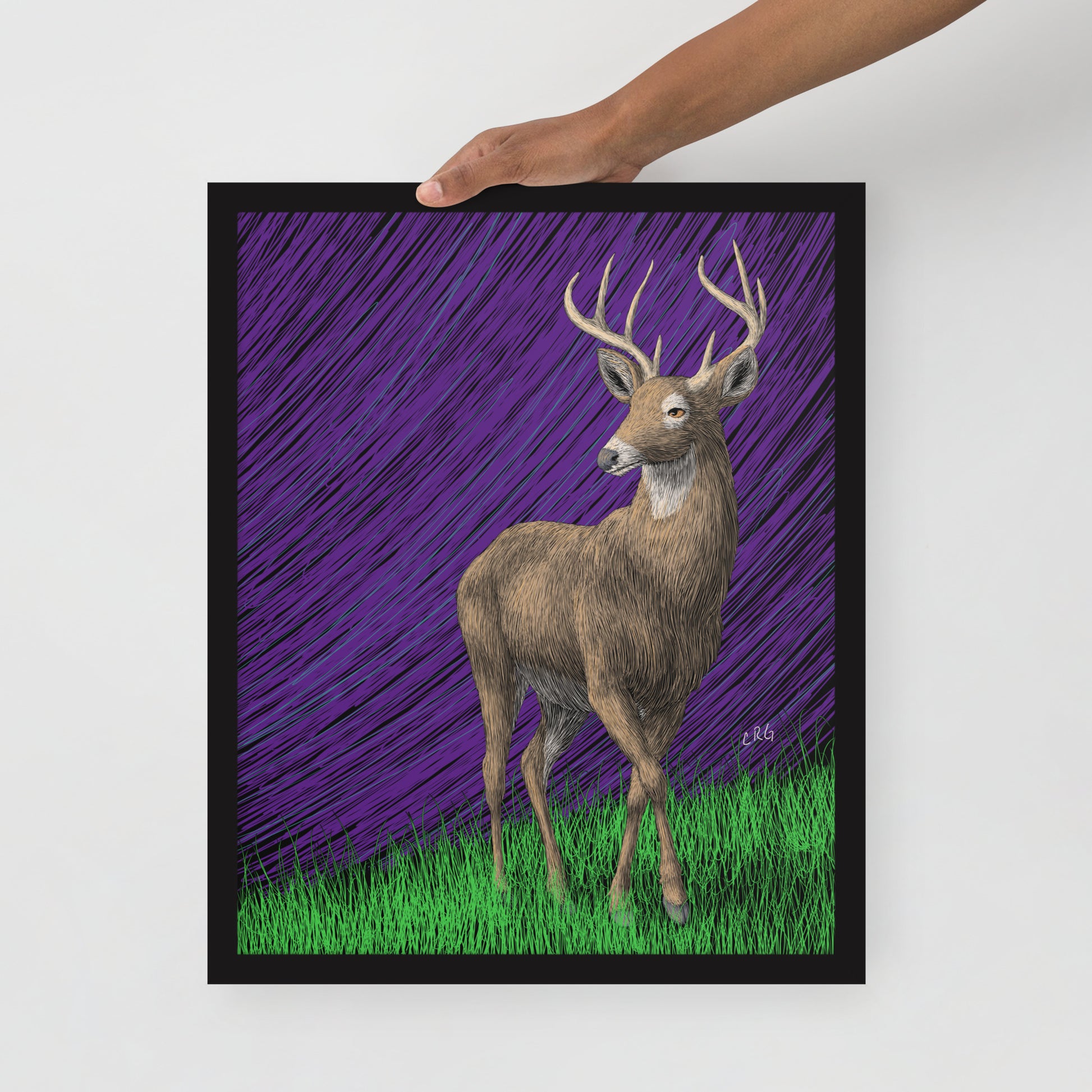 Deer Art Print