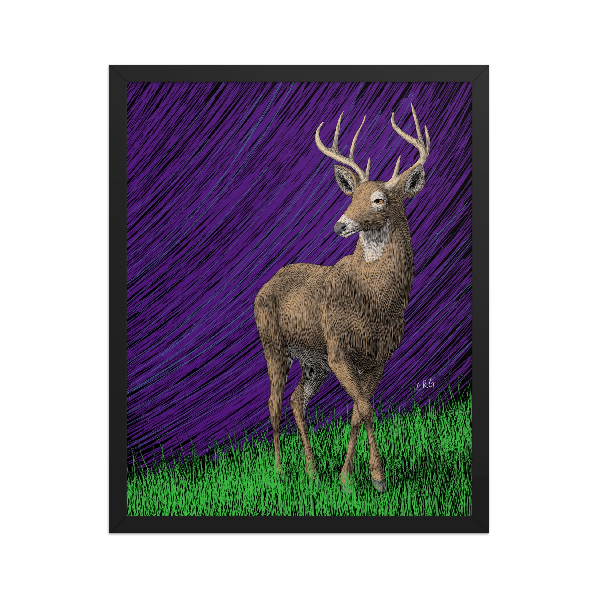 Deer Art Print