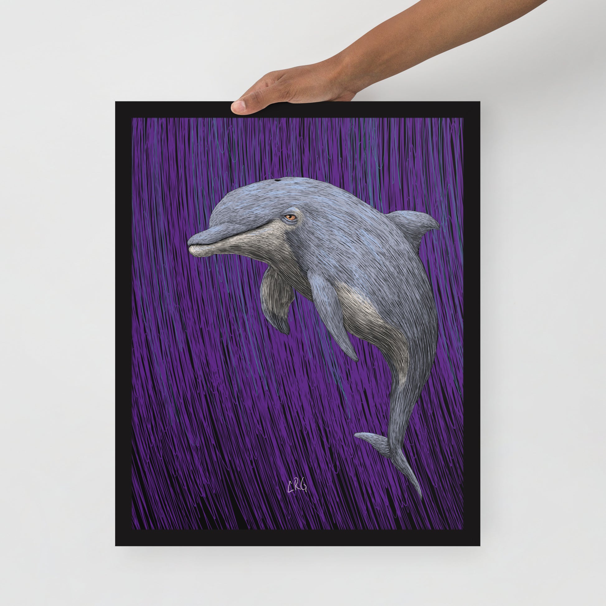 Dolphin Art Print