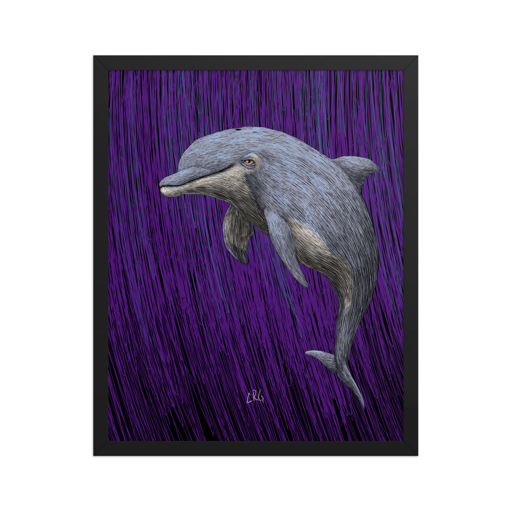 Dolphin Art Print