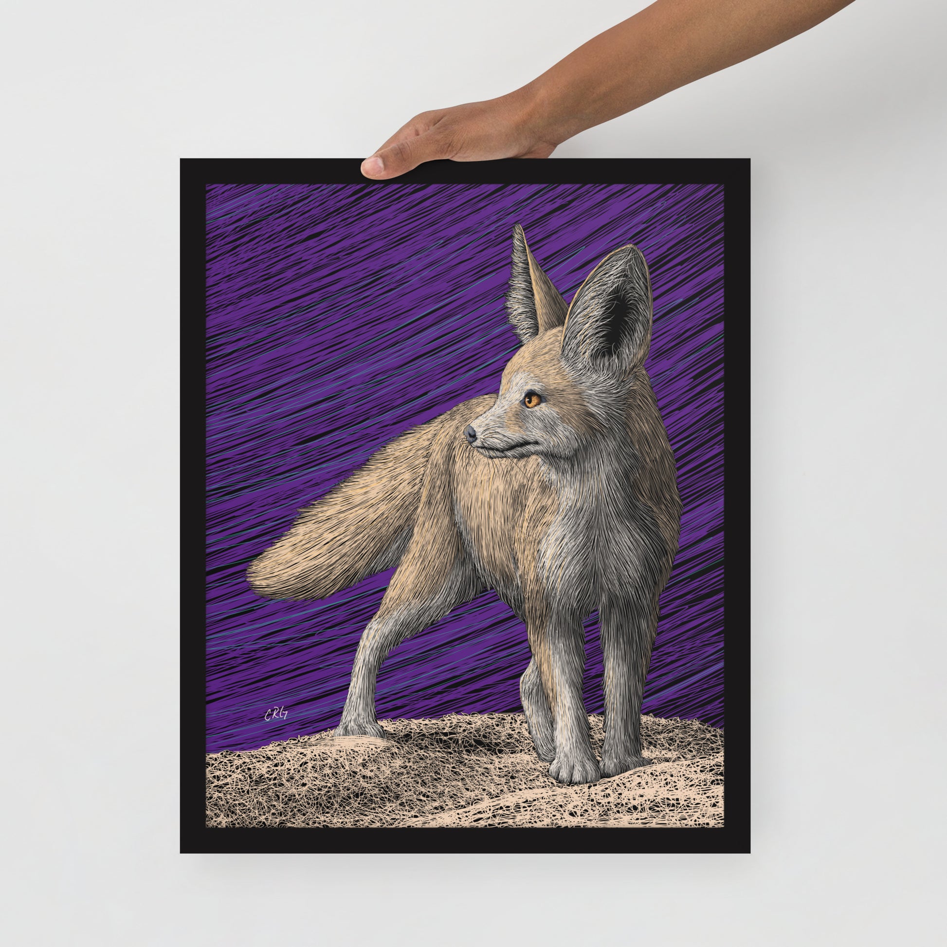 Fennec Fox Art Print