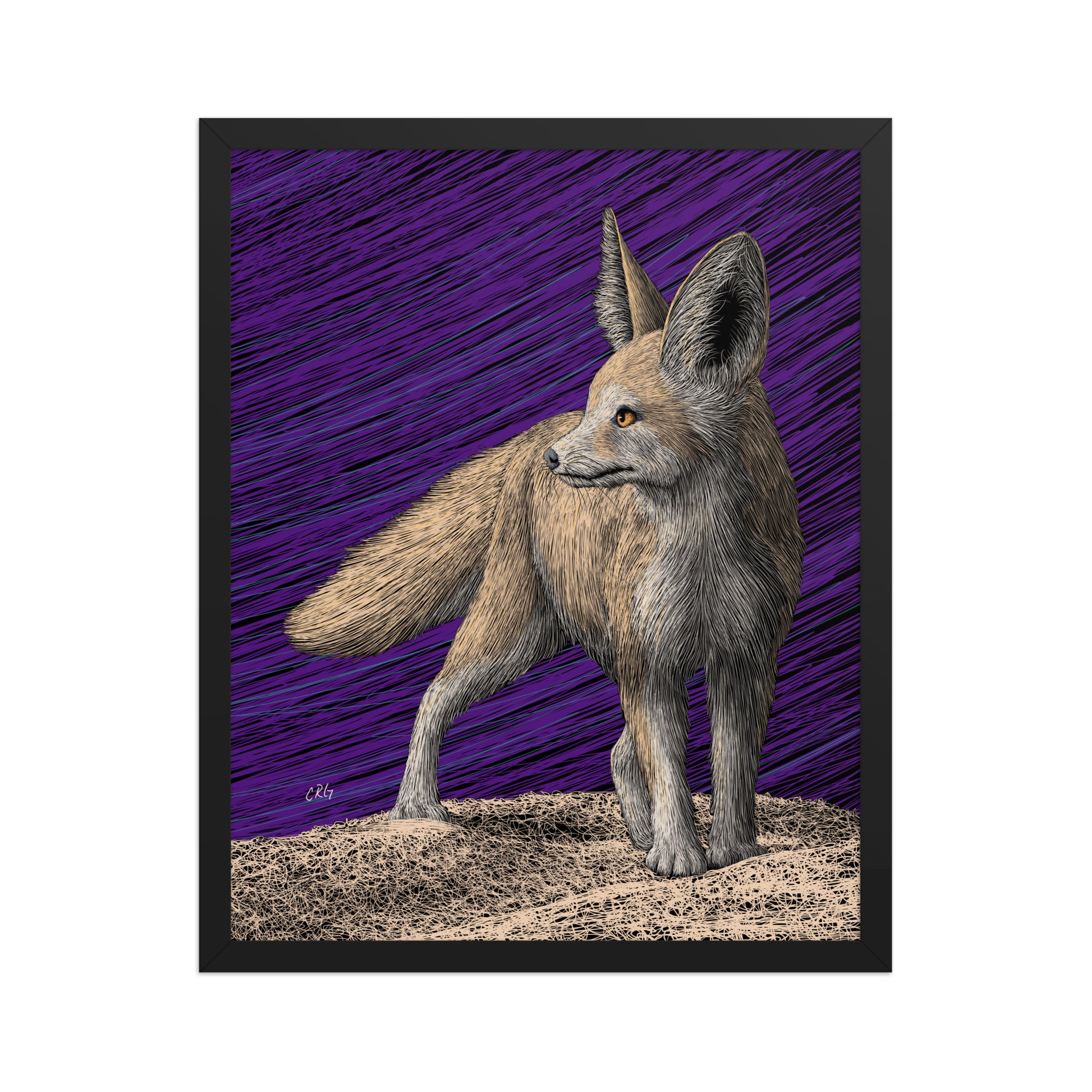 Fennec Fox Art Print