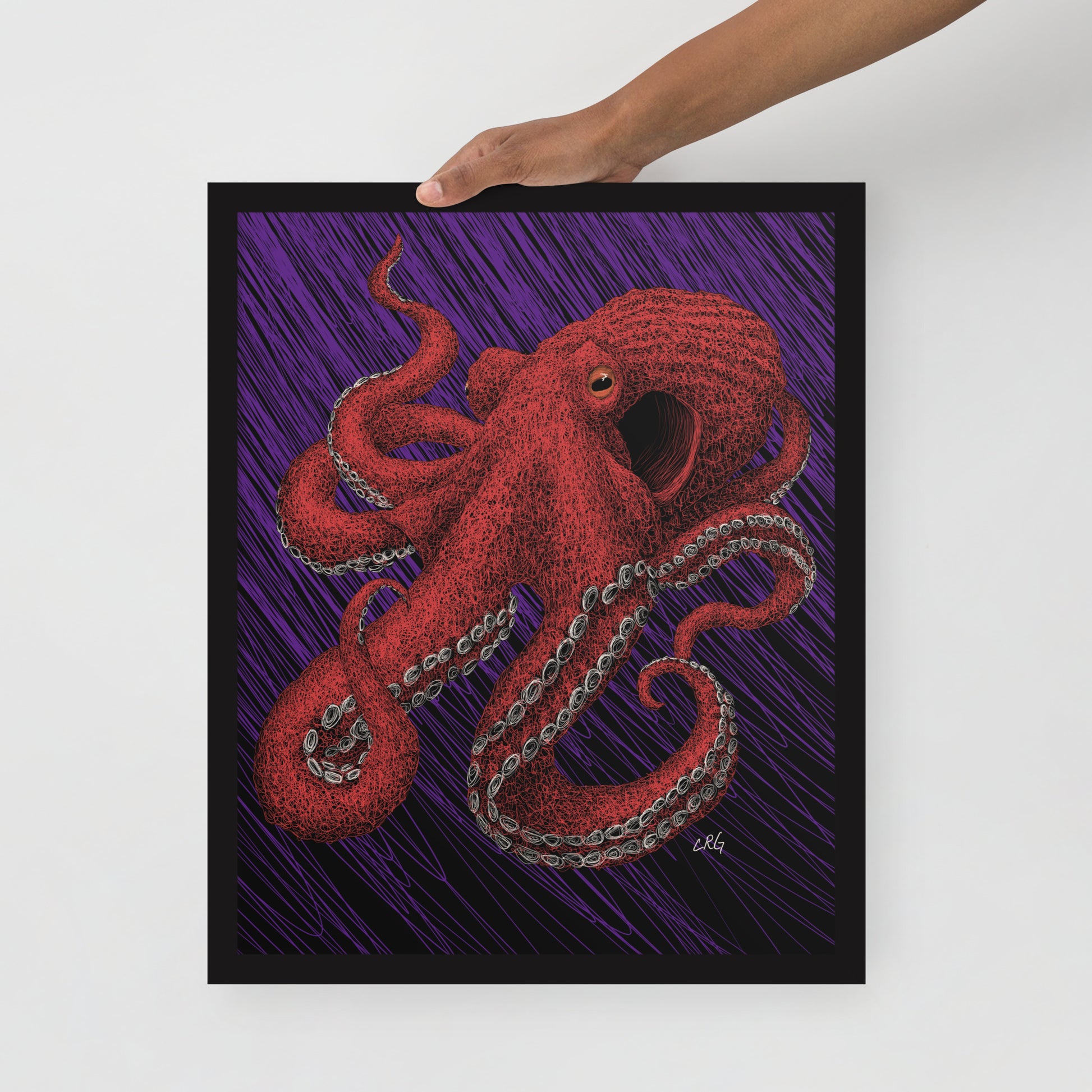 Octopus Art Print