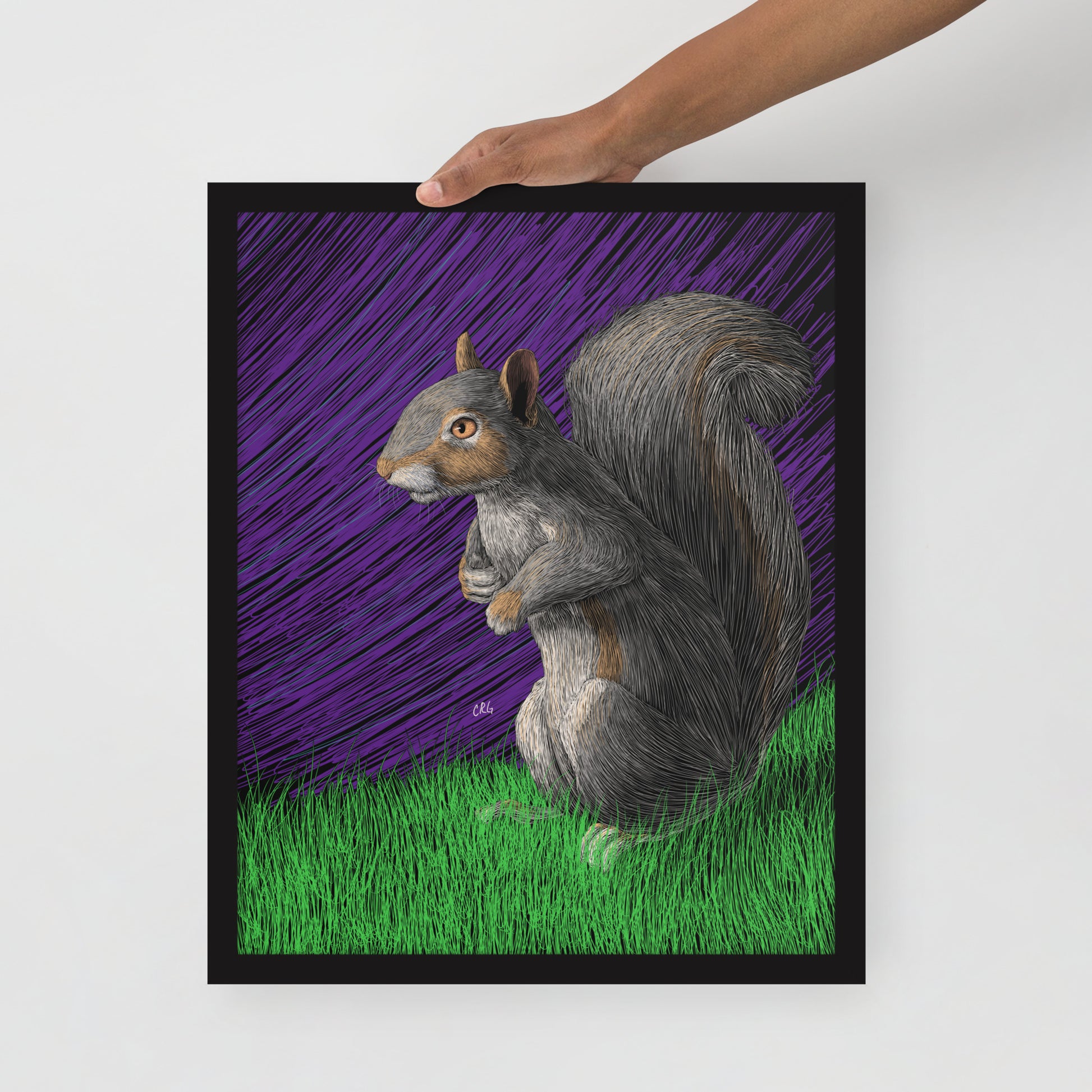 Squirrel Art Print