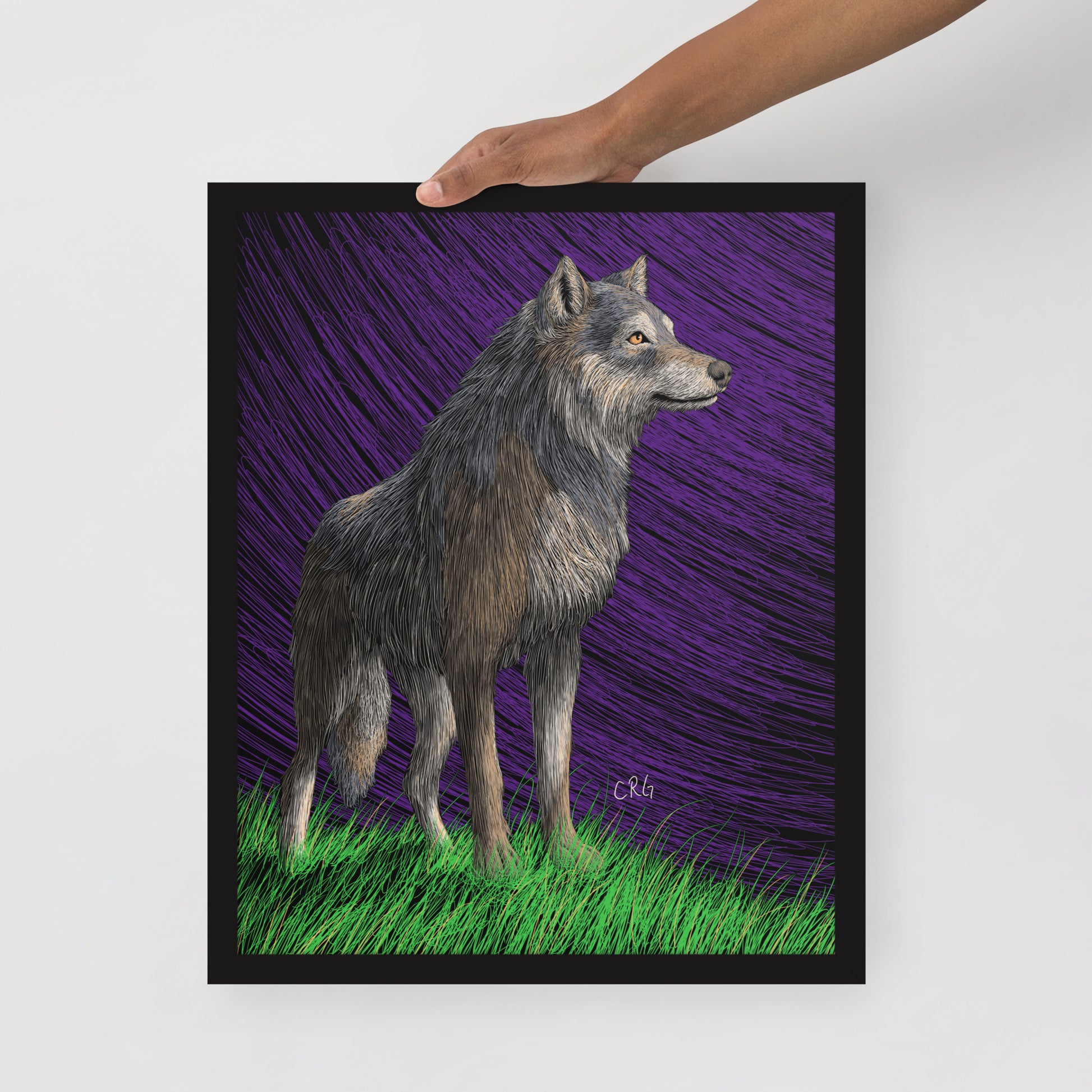 Gray Wolf Art Print