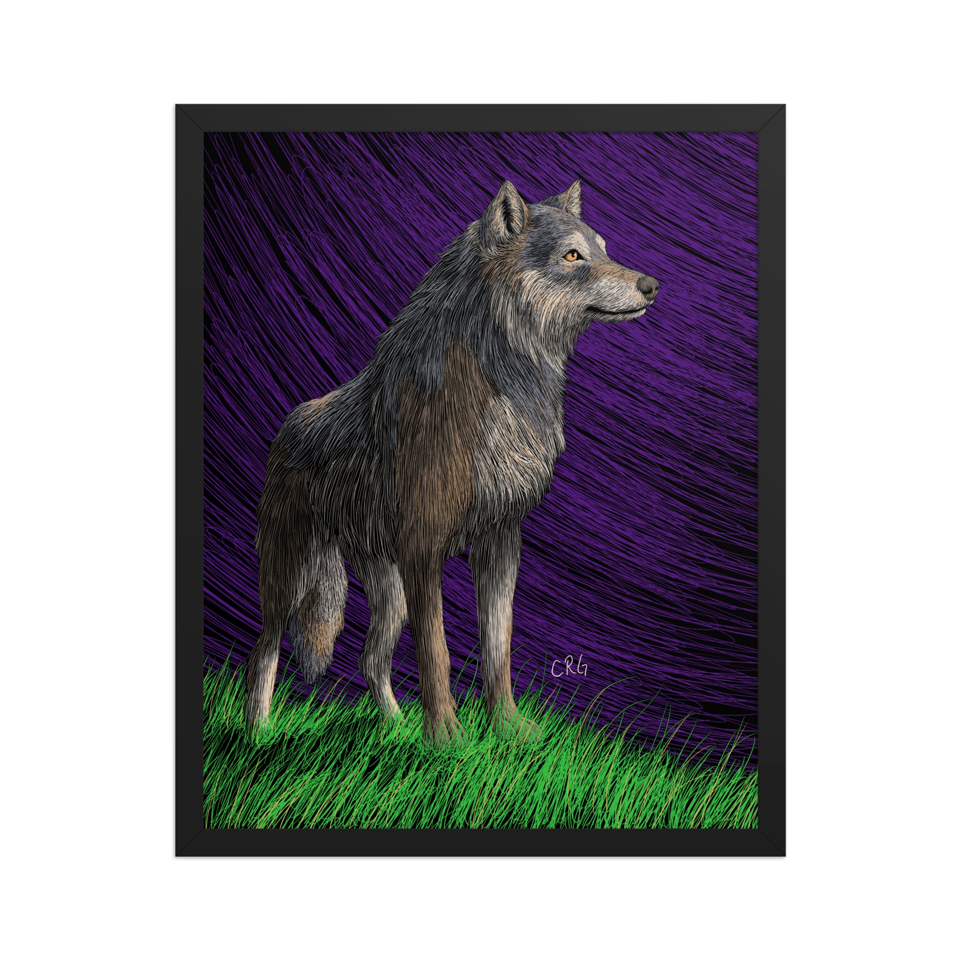 Gray Wolf Art Print