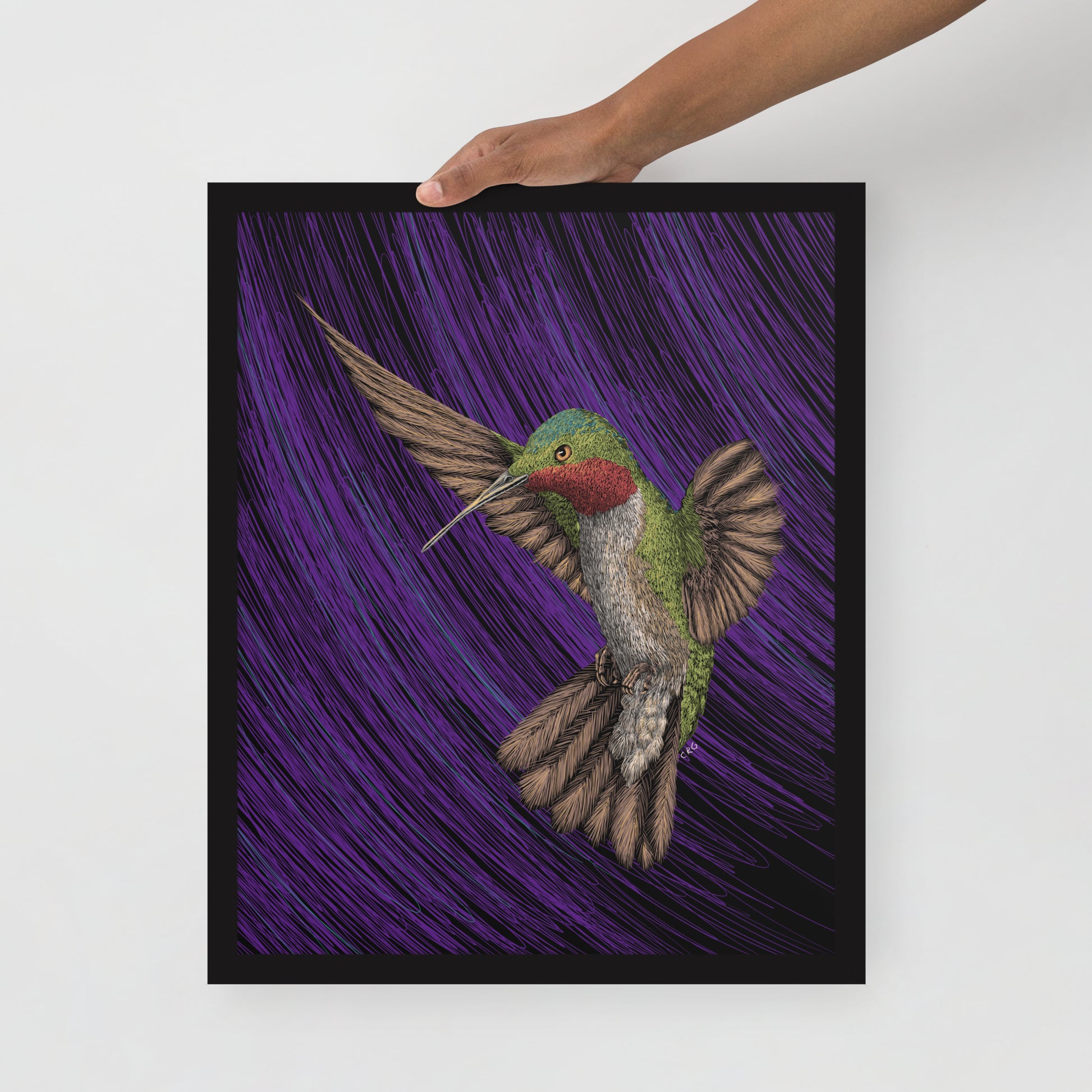 Hummingbird Art Print