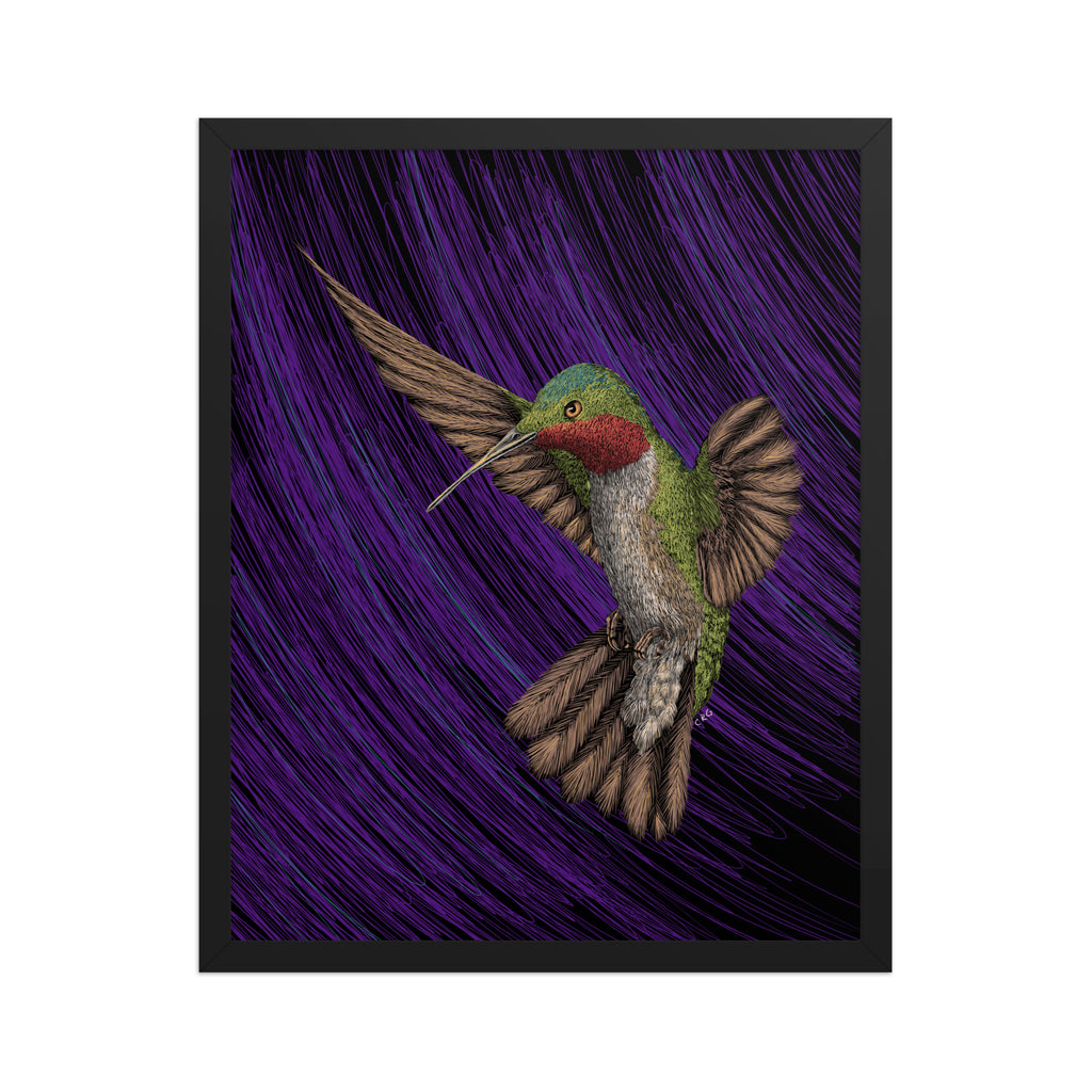 Hummingbird Art Print