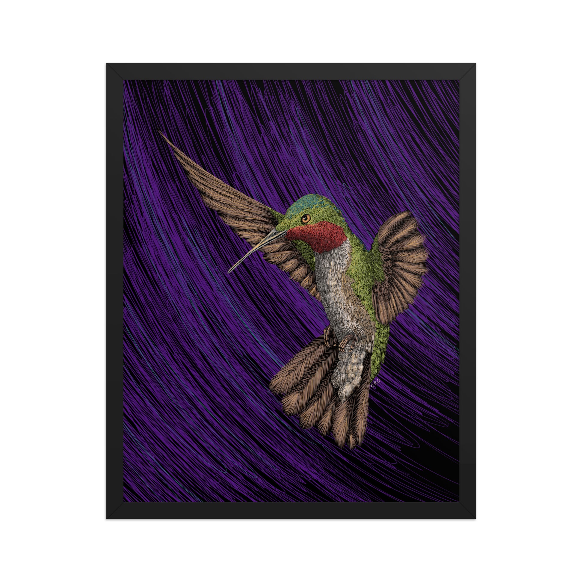 Hummingbird Art Print