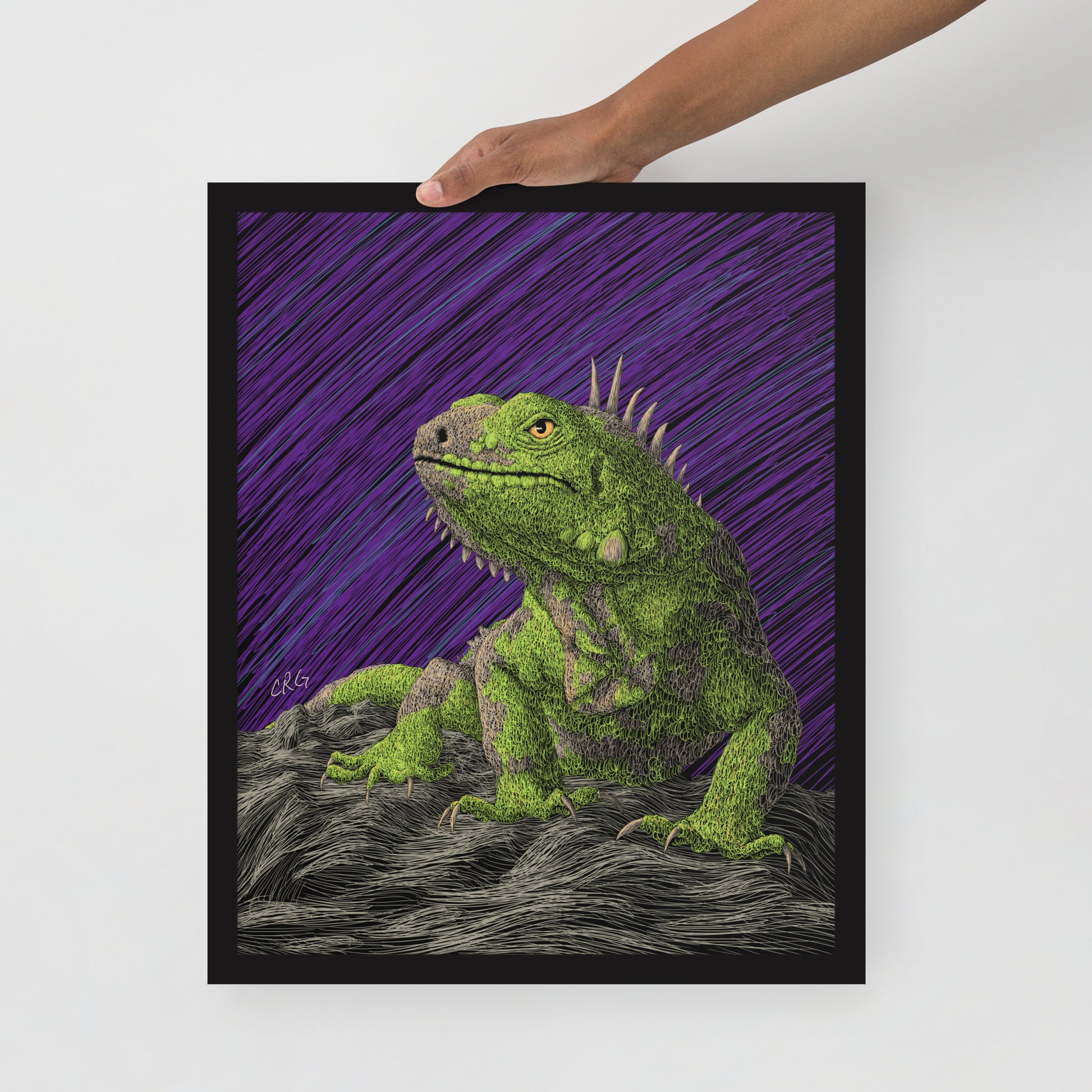 Iguana Art Print