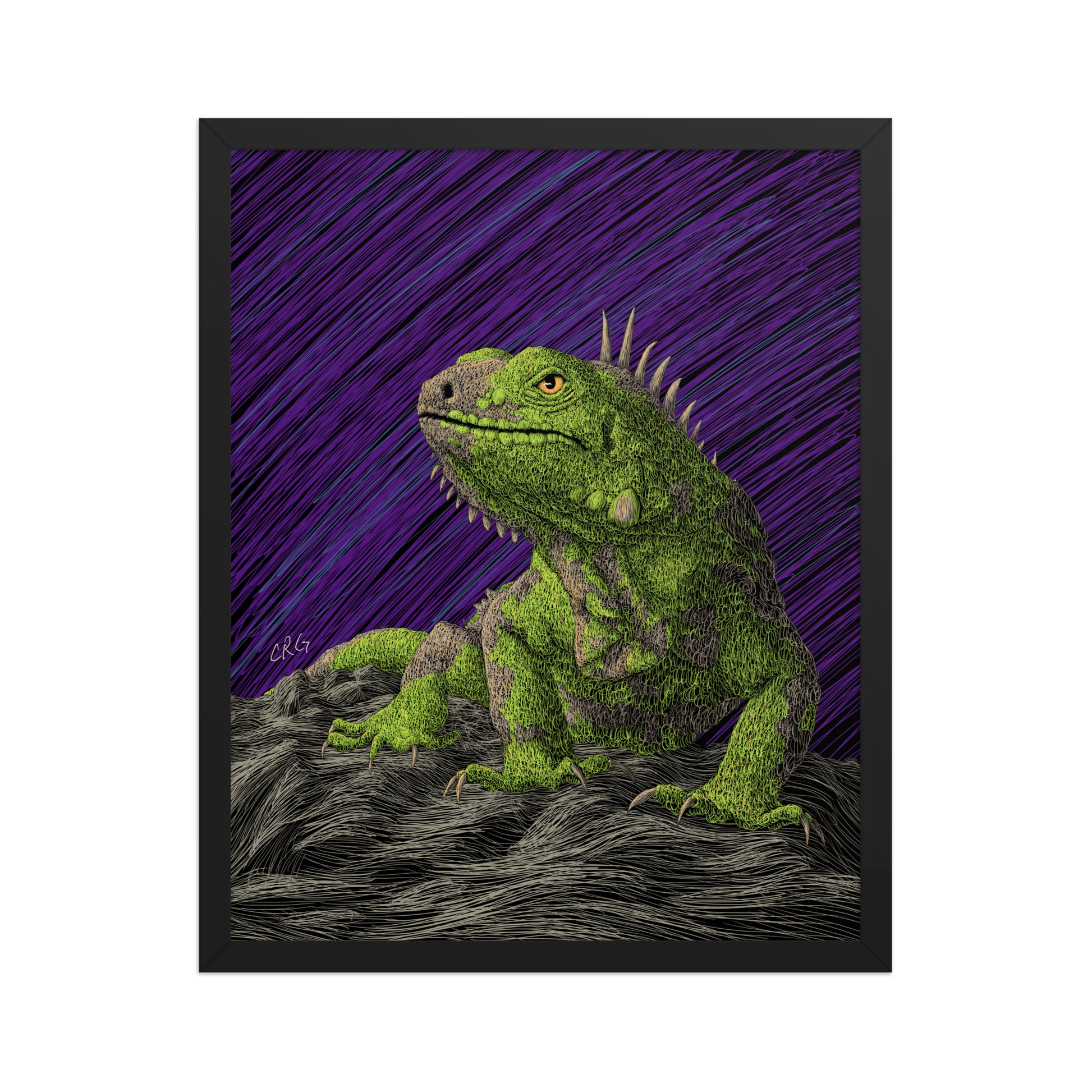 Iguana Art Print