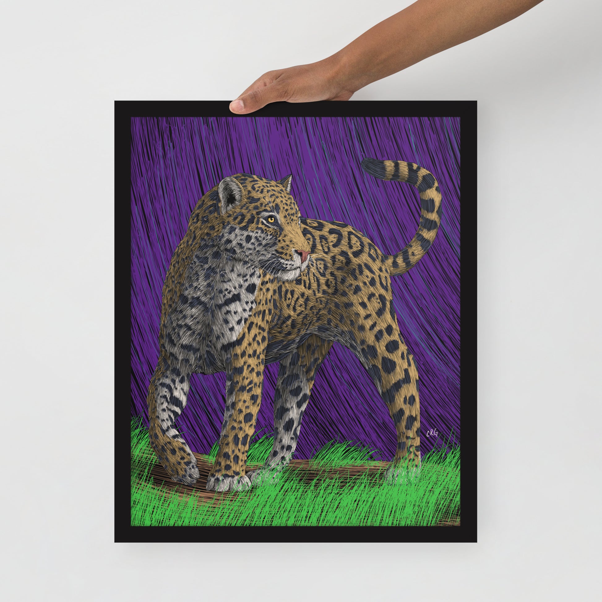 Jaguar Art Print