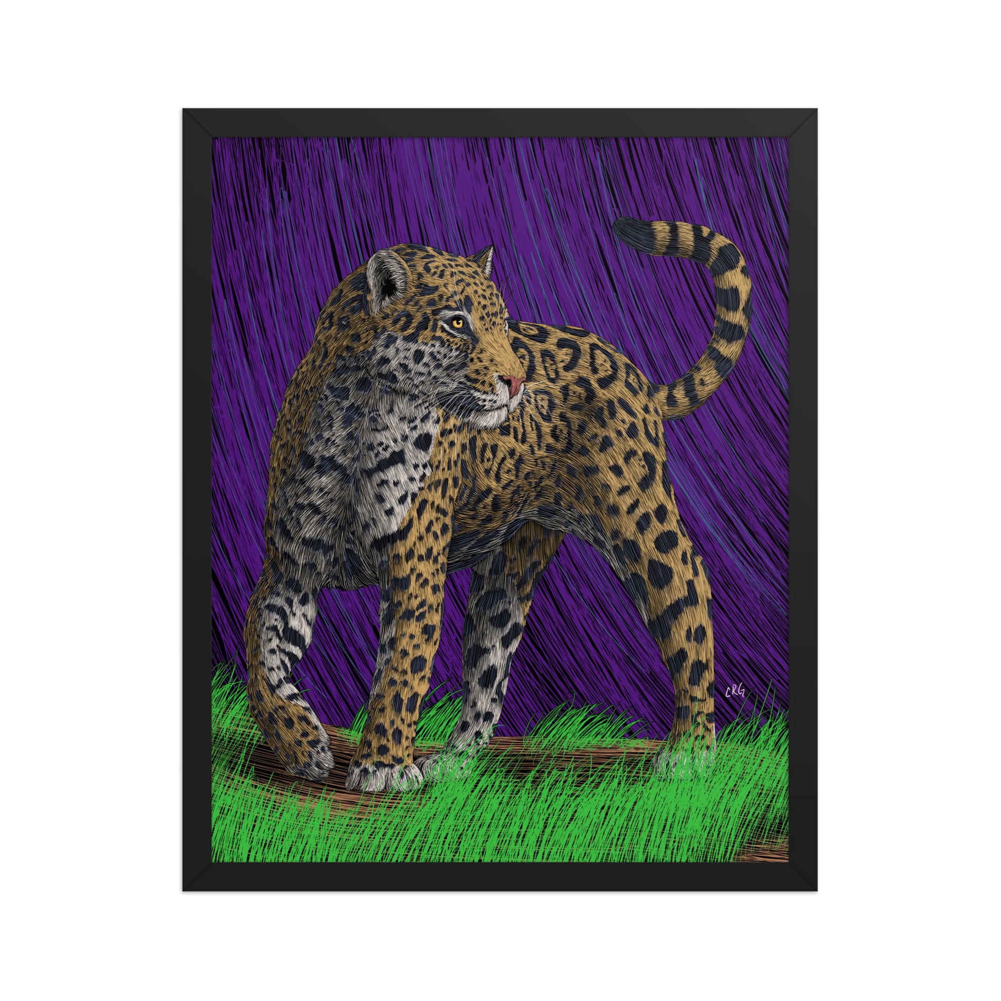 Jaguar Art Print