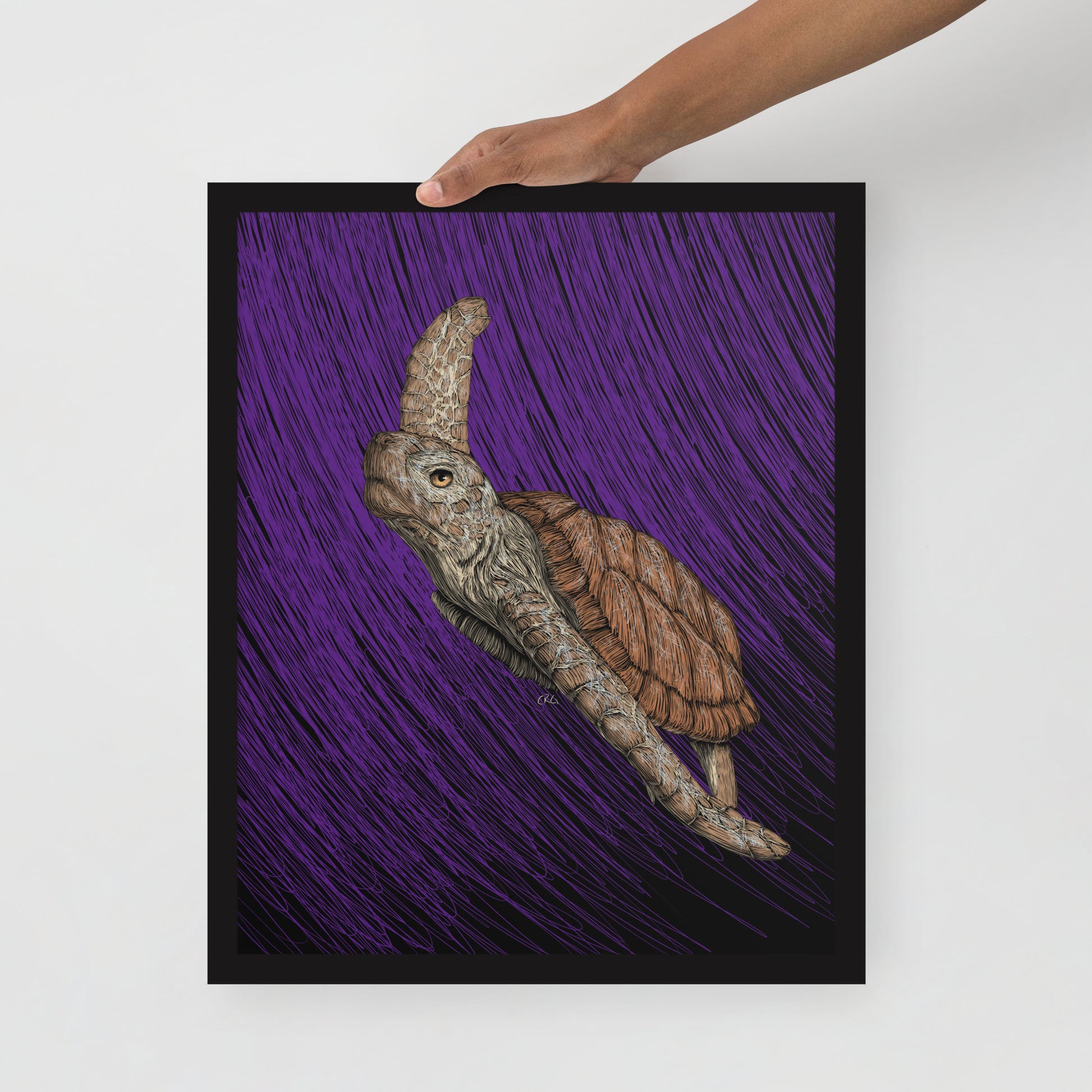 Turtle Art Print