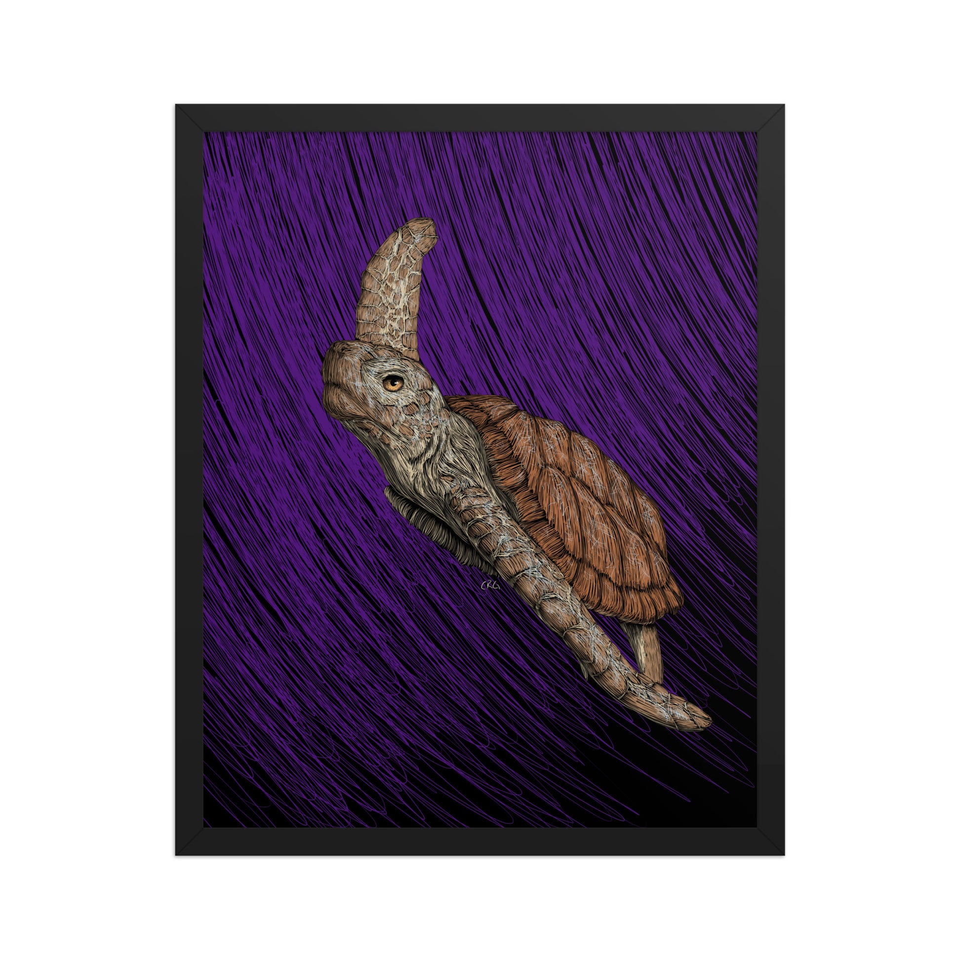 Turtle Art Print