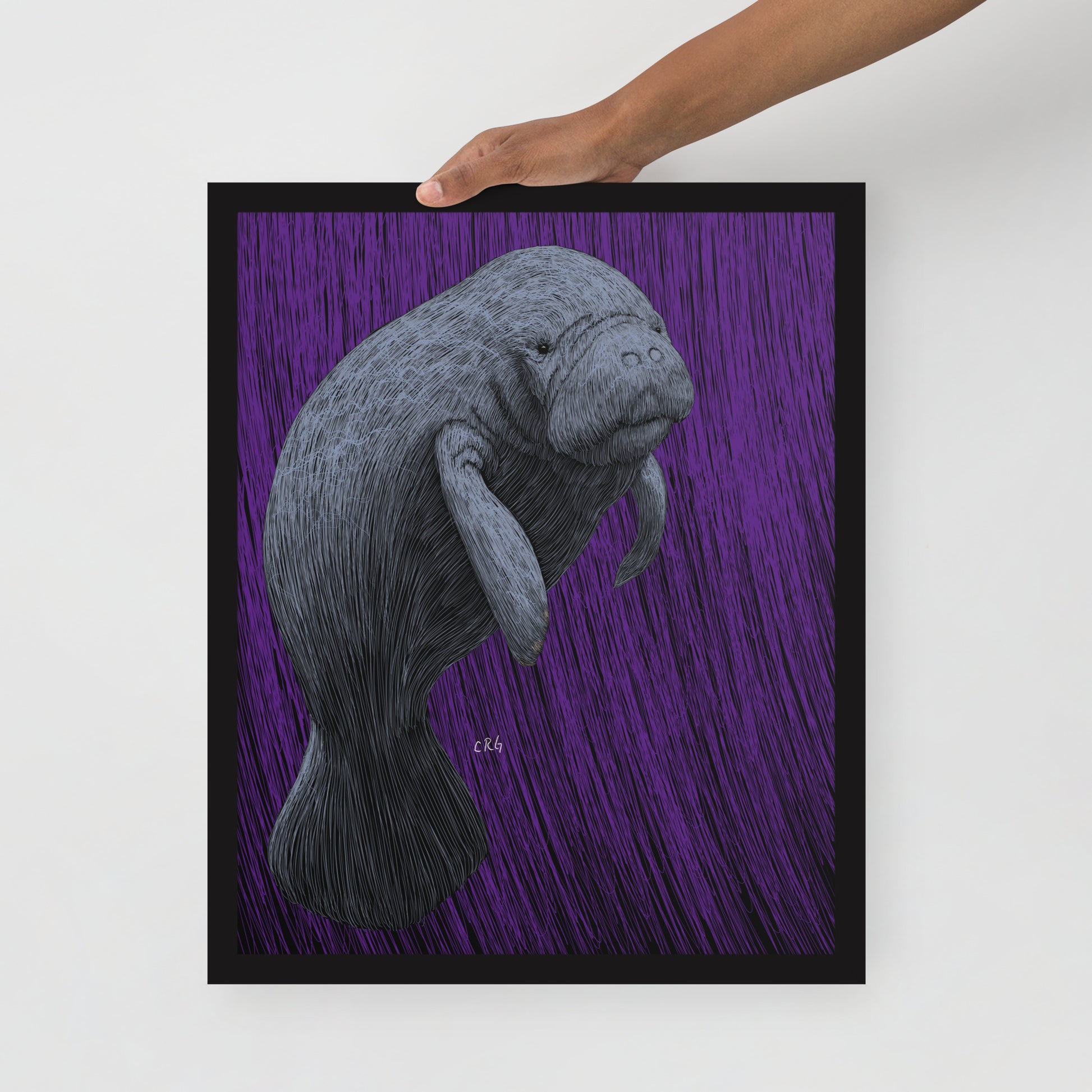 Manatee Art Print