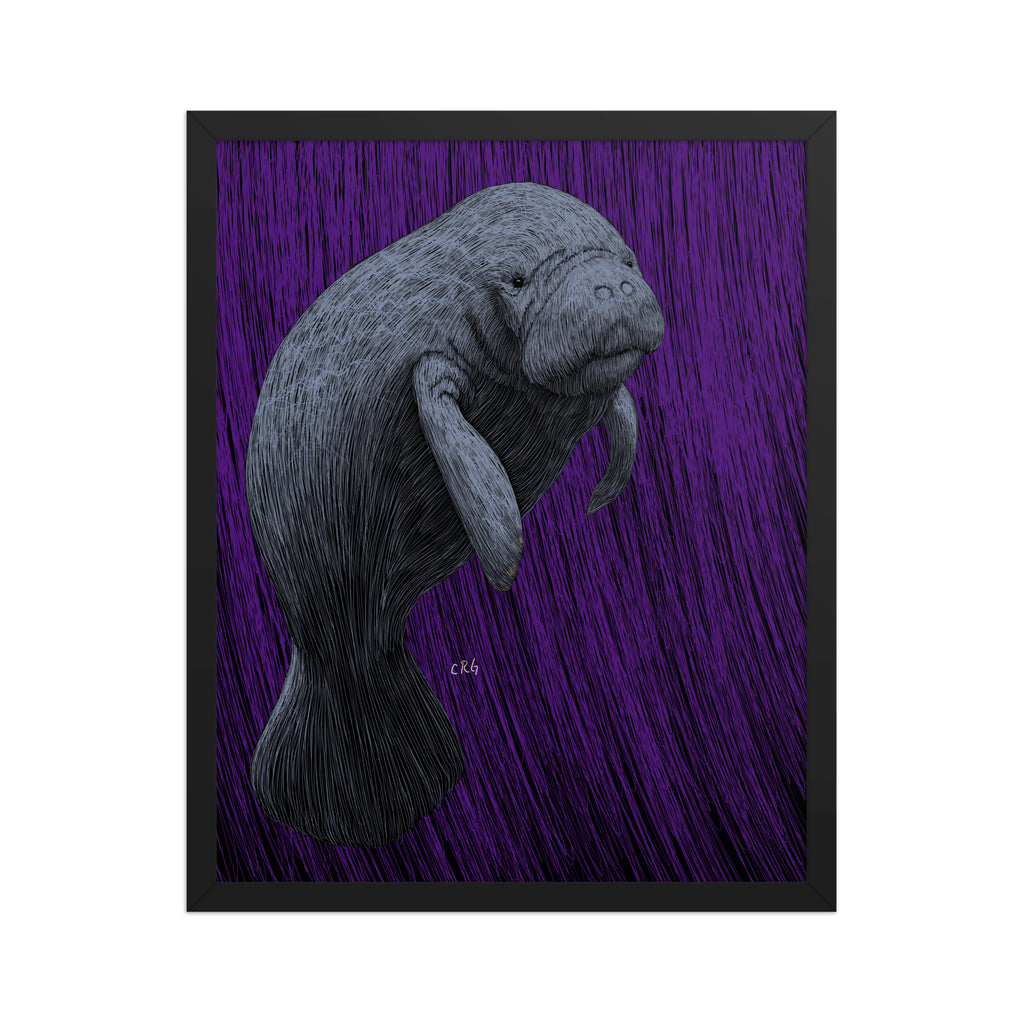 Manatee Art Print