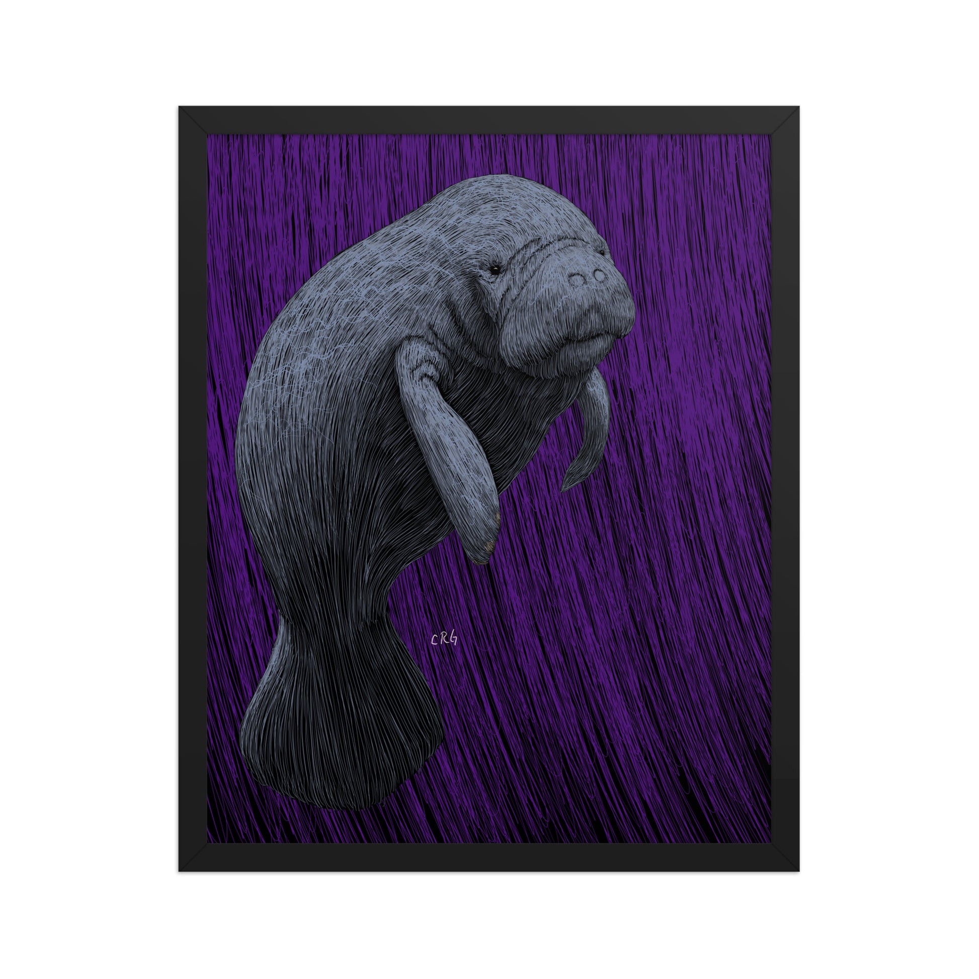 Manatee Art Print