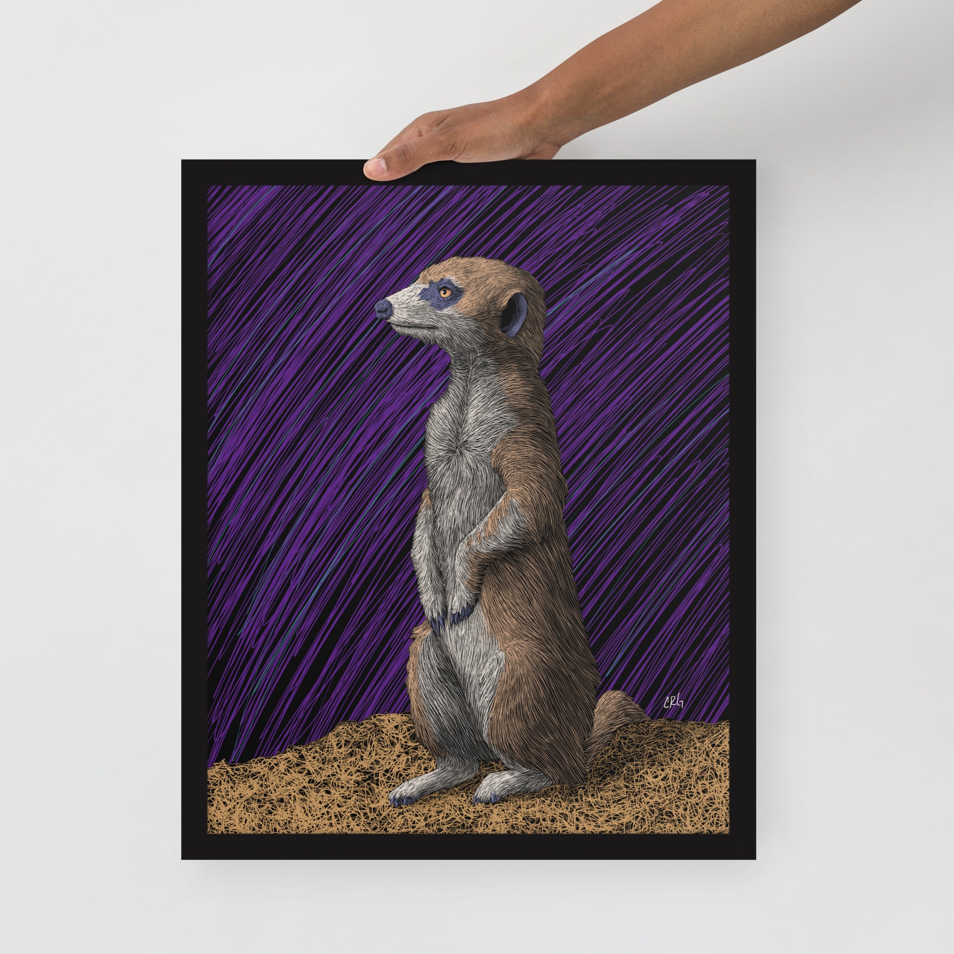 Meerkat Art Print