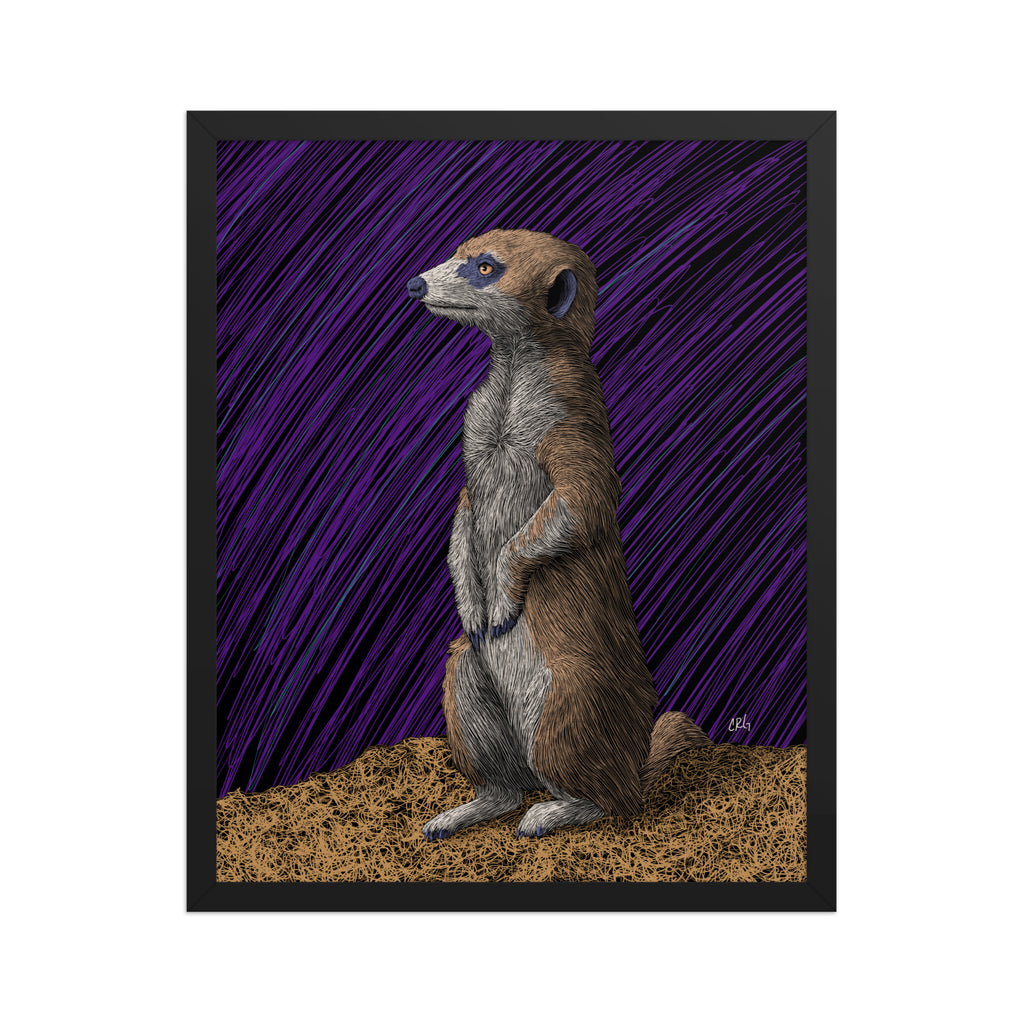 Meerkat Art Print