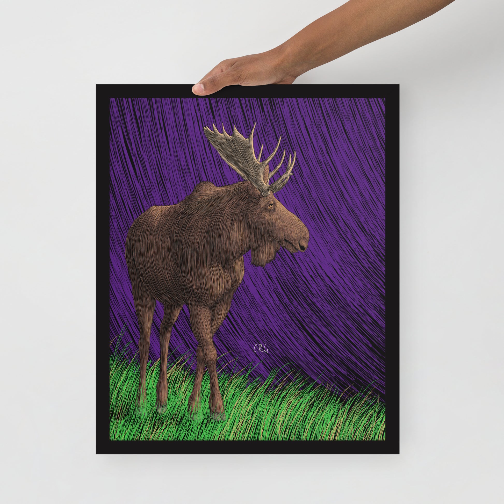 Moose Art Print