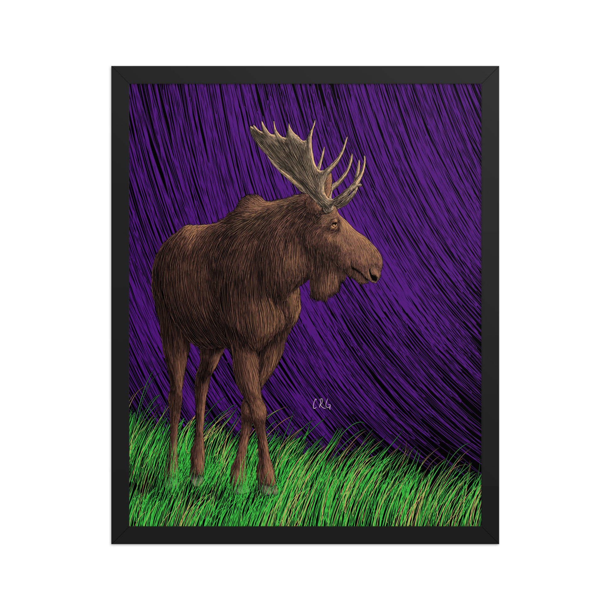 Moose Art Print