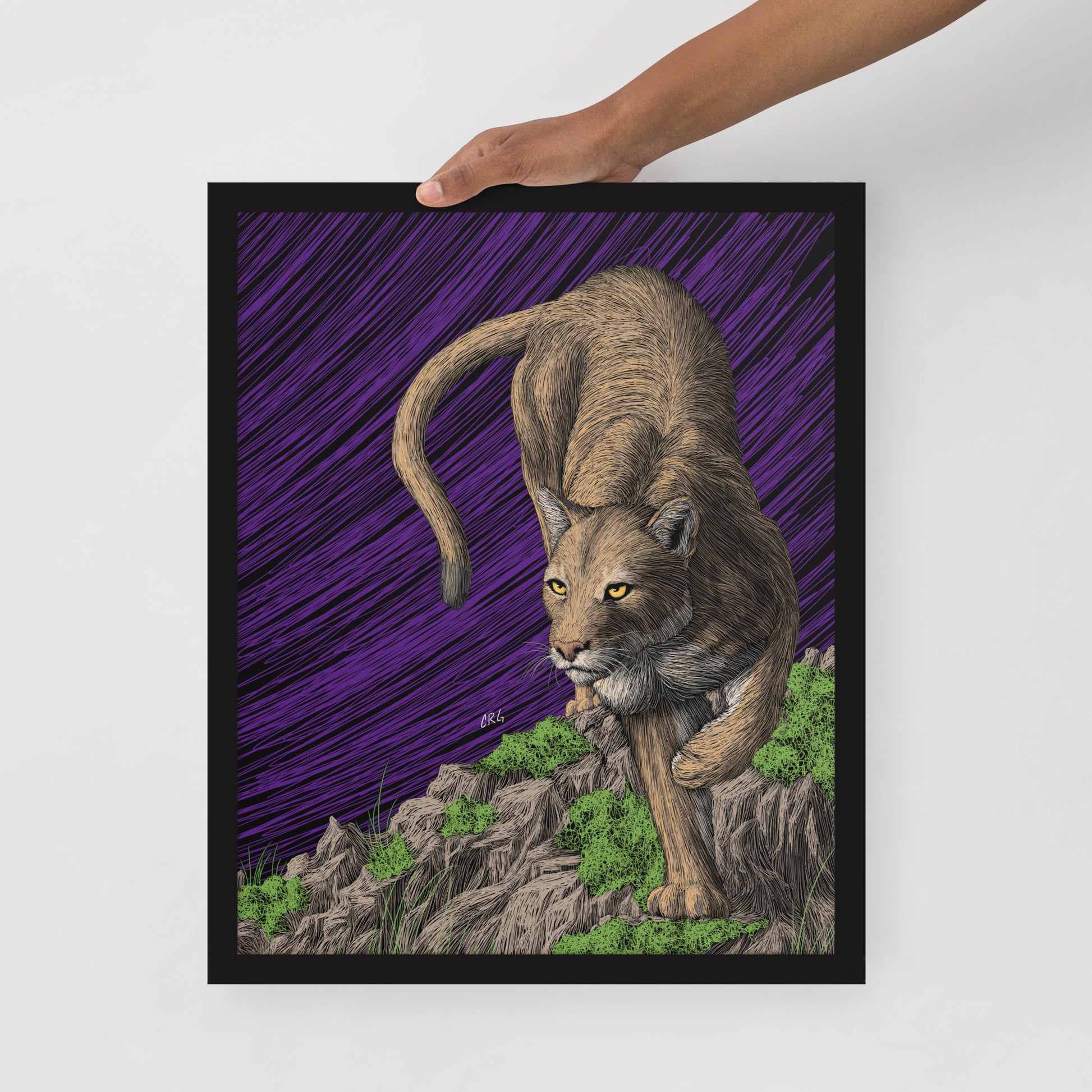 Mountain Lion Art Print