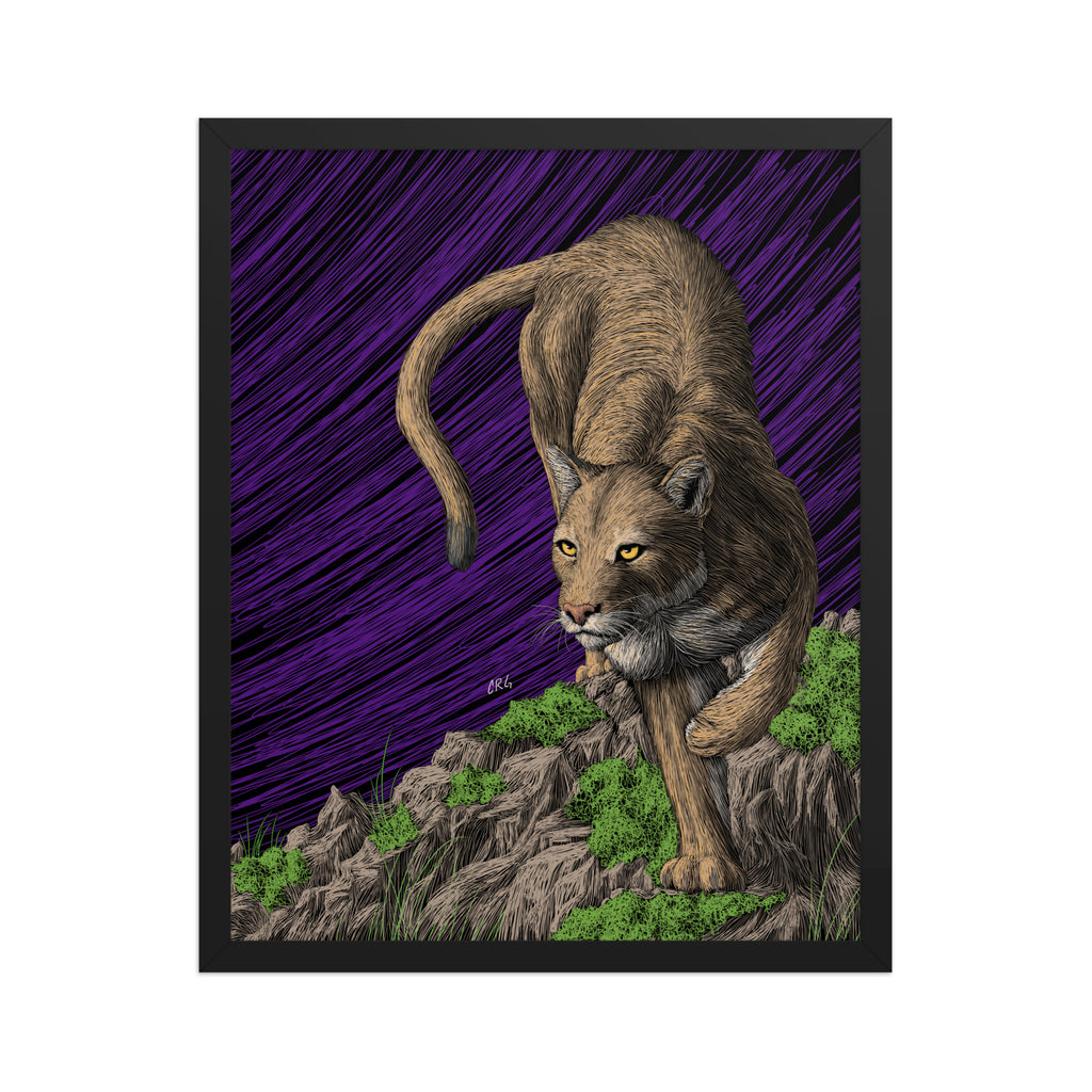 Mountain Lion Art Print